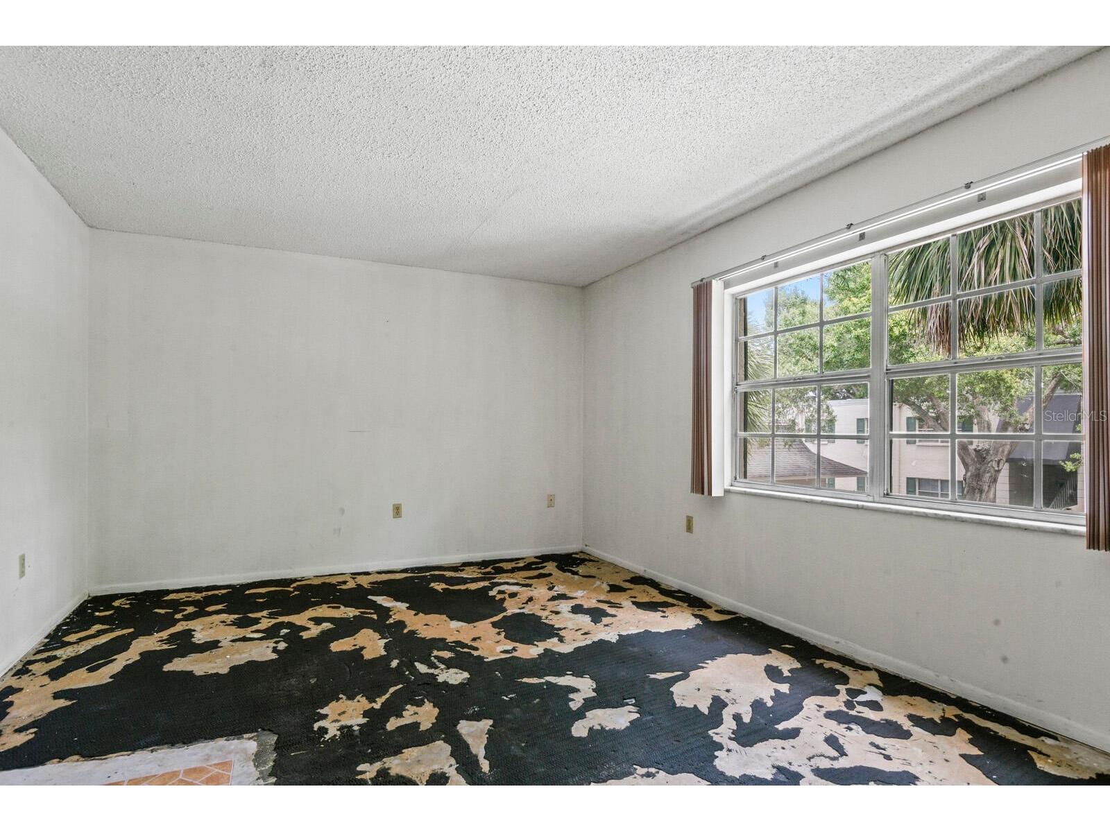 4335 Aegean Drive #254A Tampa FL 33611 O6419887 image11