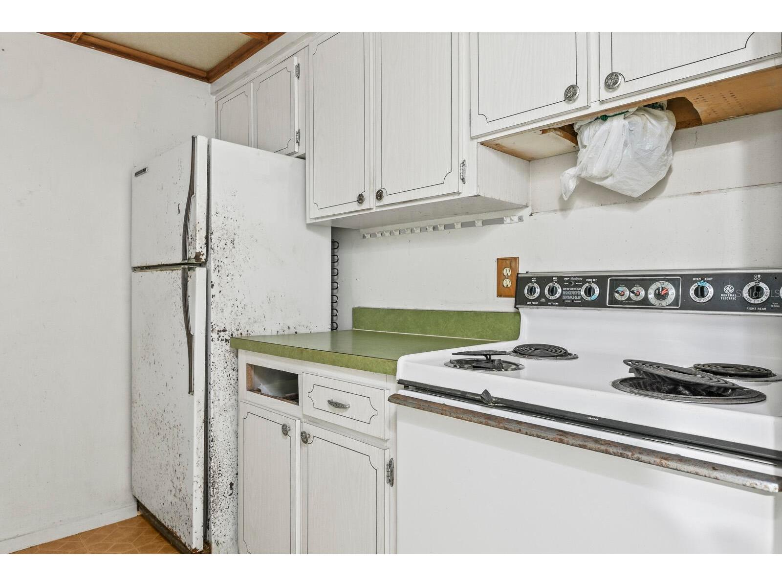 4335 Aegean Drive #254A Tampa FL 33611 O6419887 image21