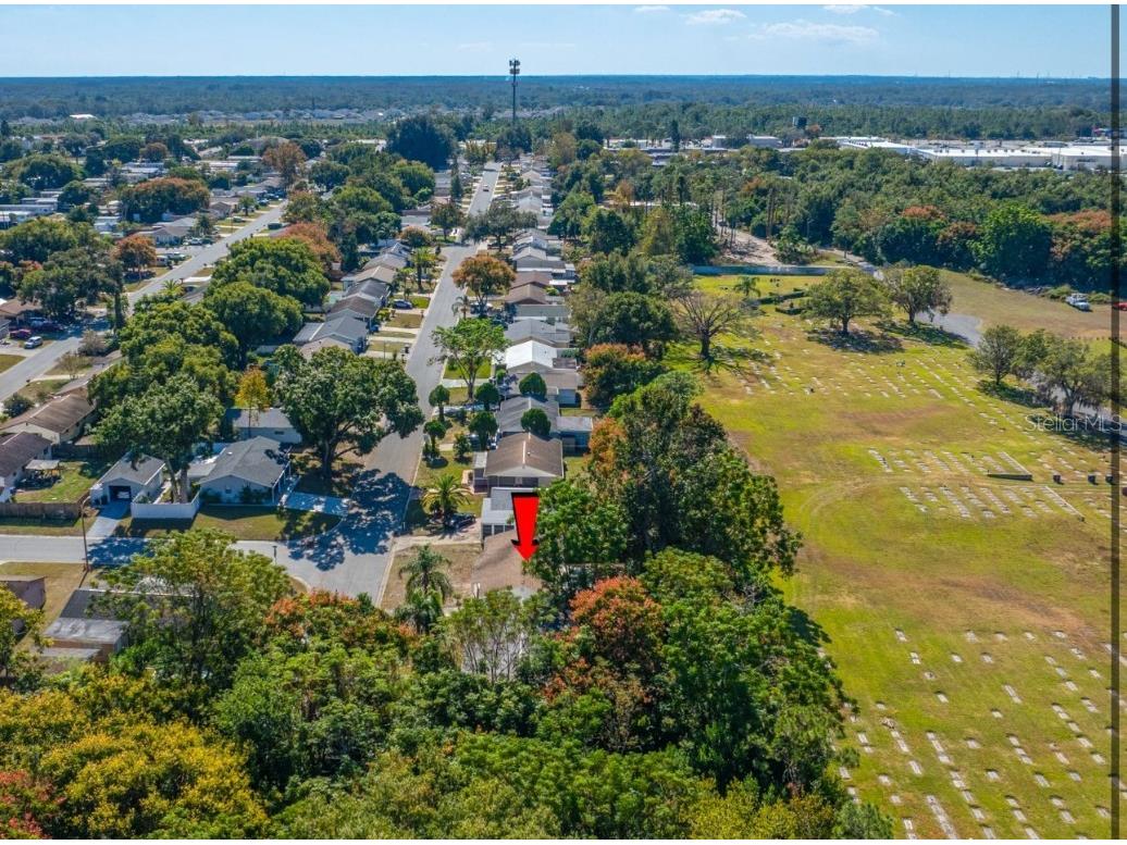 4335 Las Vegas Drive New Port Richey FL 34653 TB8449325 image14