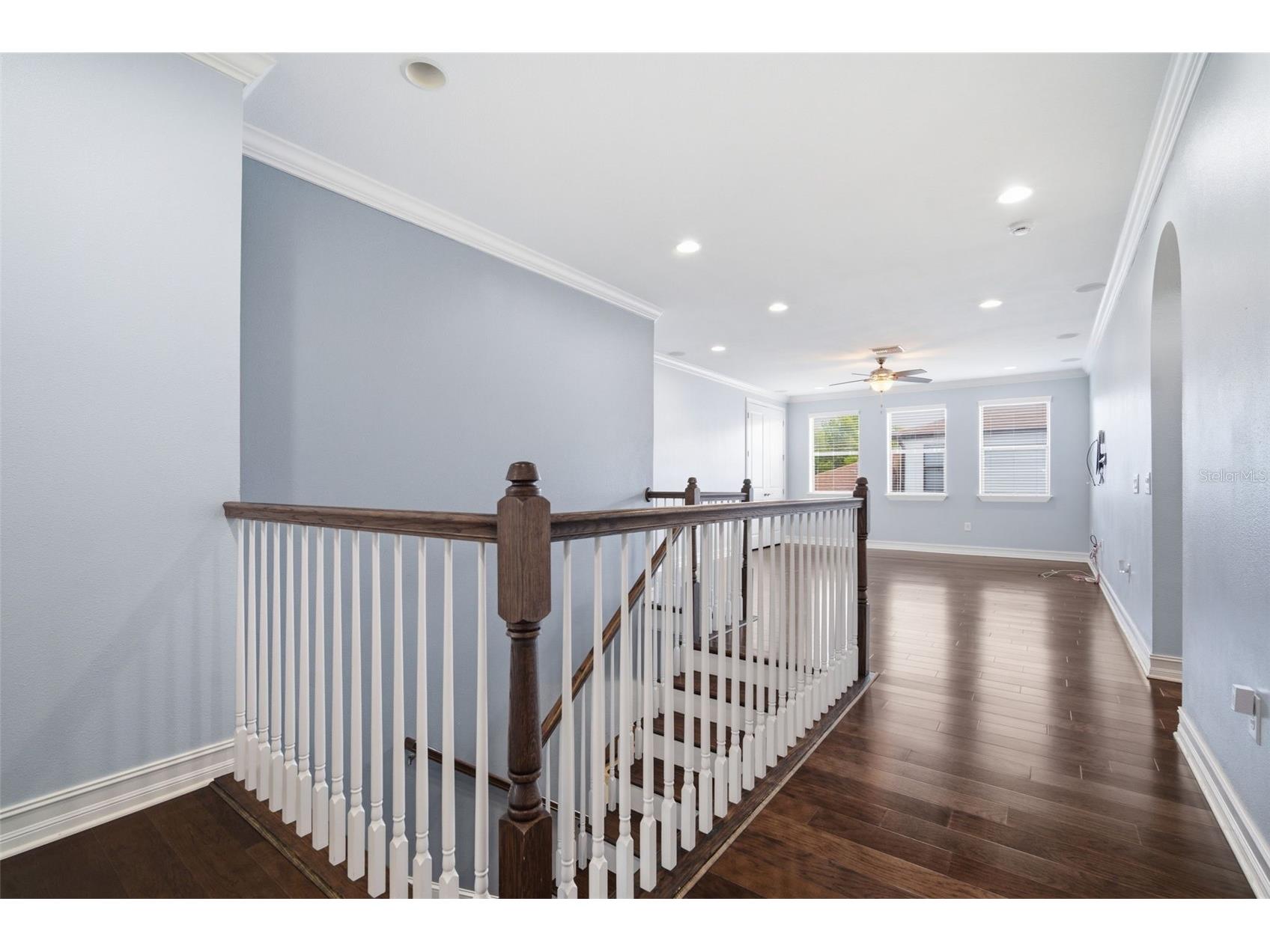 4335 Ortona Lane Wesley Chapel FL 33543 TB8503093 image41