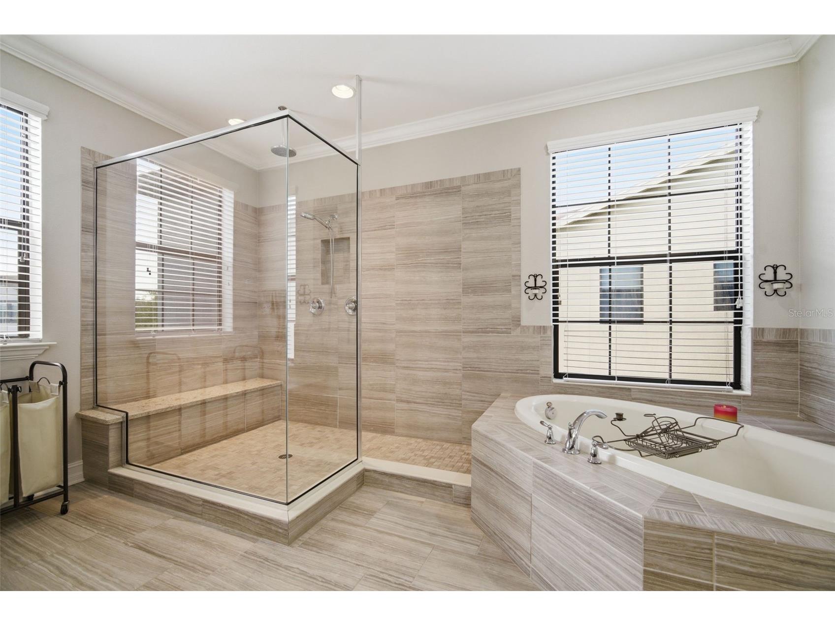 4335 Ortona Lane Wesley Chapel FL 33543 TB8503093 image56