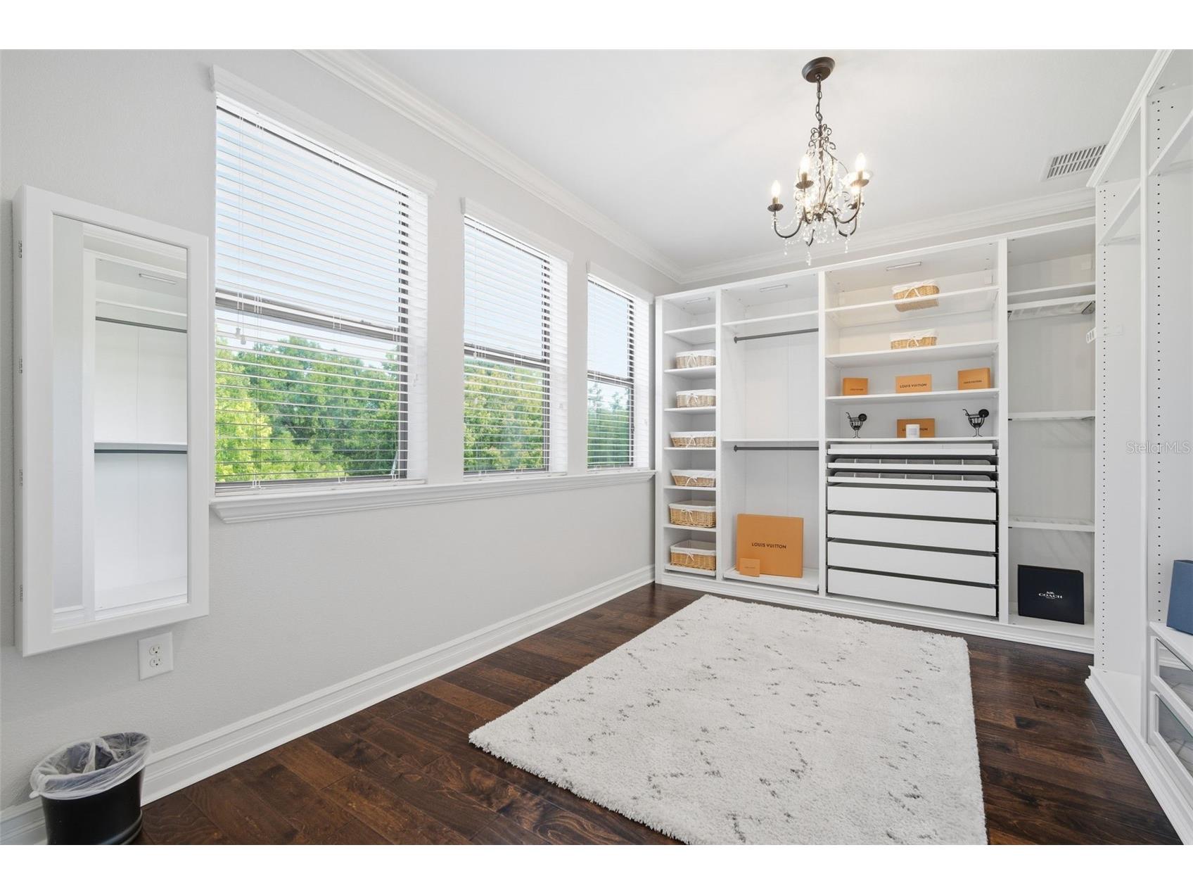 4335 Ortona Lane Wesley Chapel FL 33543 TB8503093 image59