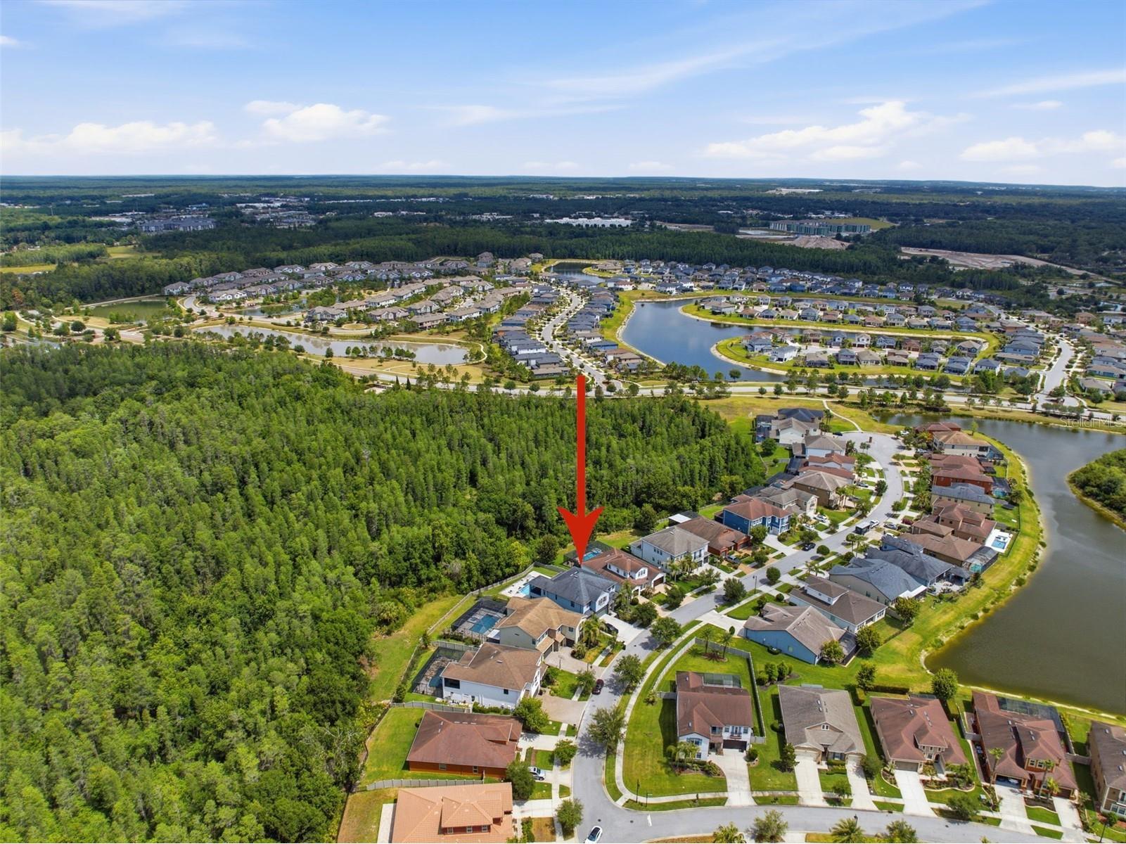 4335 Ortona Lane Wesley Chapel FL 33543 TB8503093 image91