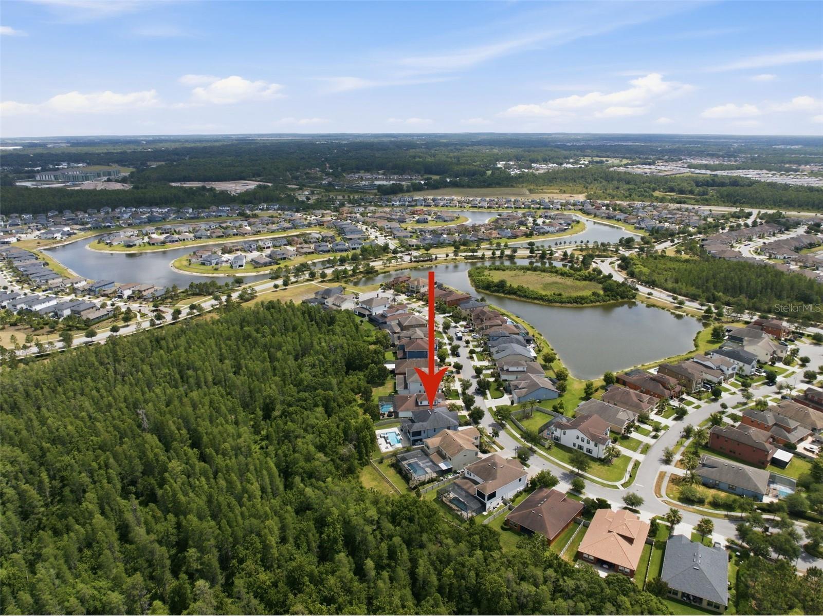 4335 Ortona Lane Wesley Chapel FL 33543 TB8503093 image92