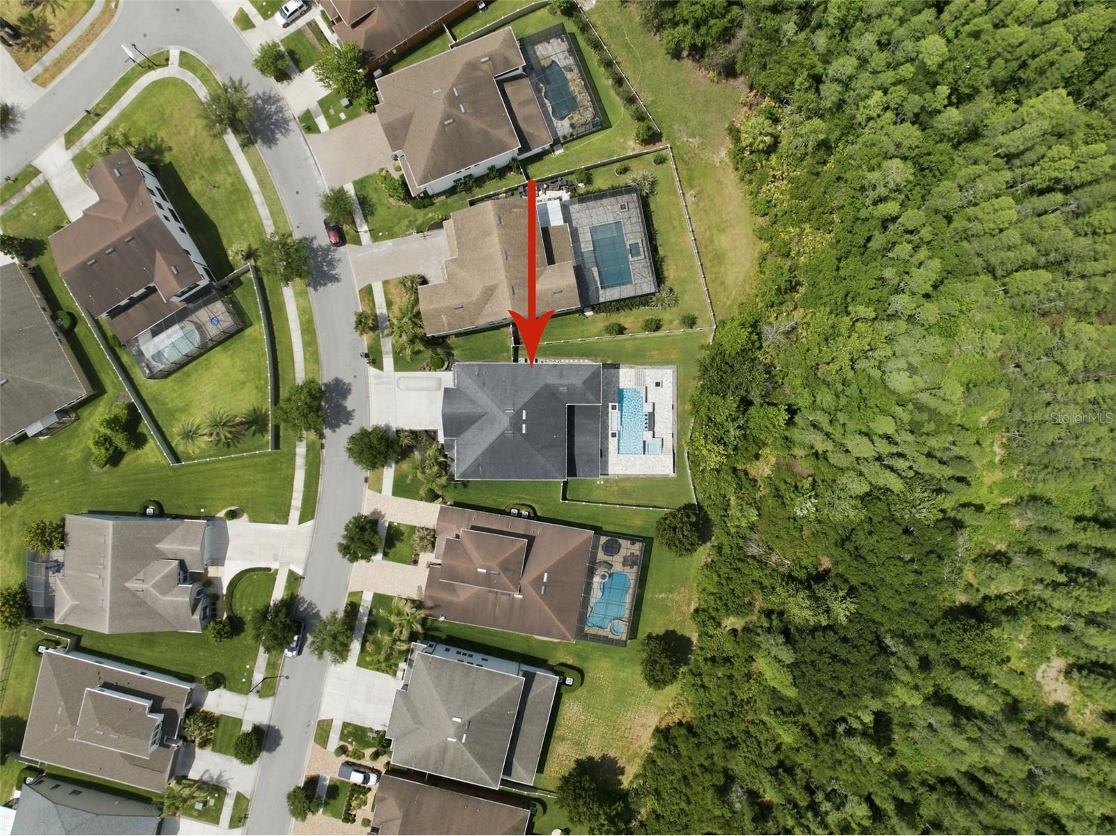 4335 Ortona Lane Wesley Chapel FL 33543 TB8503093 image94