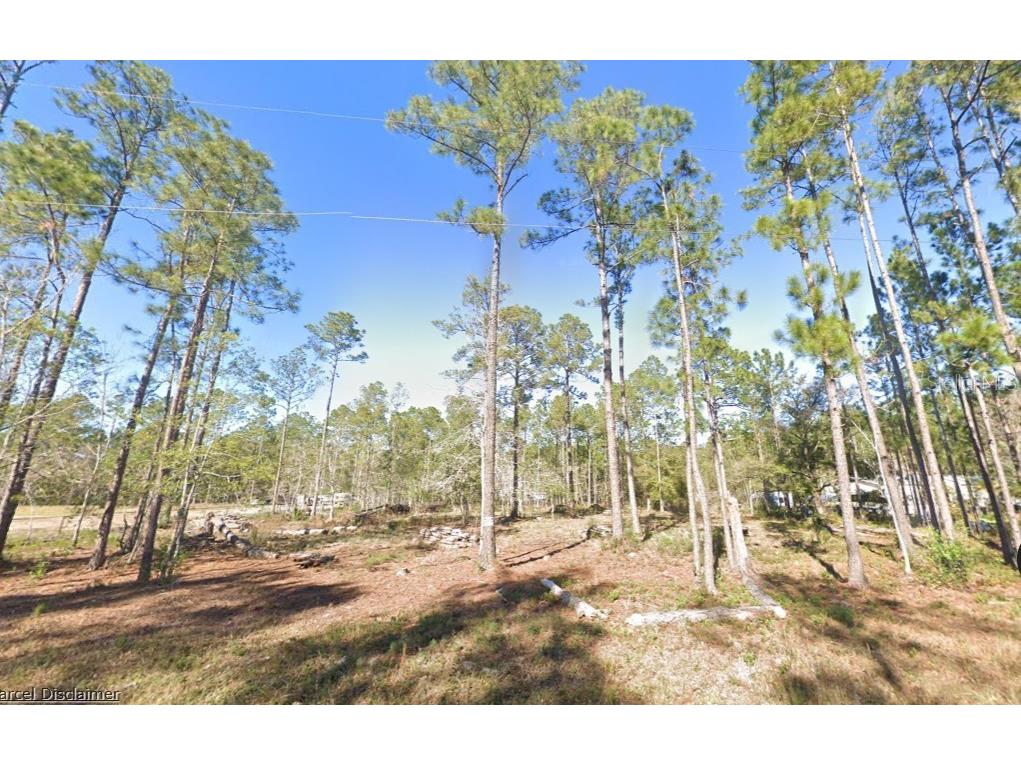 4335 Theresa Street Hastings FL 32145 A4686612 image1