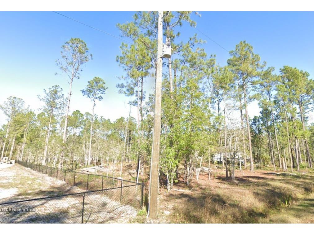 4335 Theresa Street Hastings FL 32145 A4686612 image2