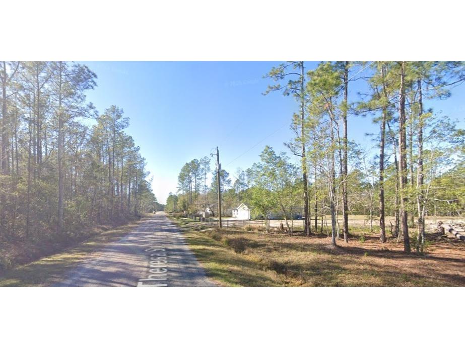 4335 Theresa Street Hastings FL 32145 A4686612 image3