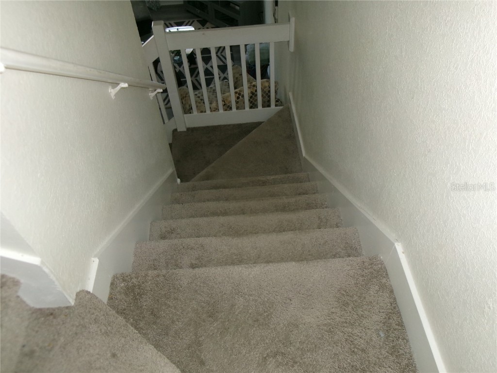 4336 Har Paul Circle Tampa FL 33614 TB8431503 image15