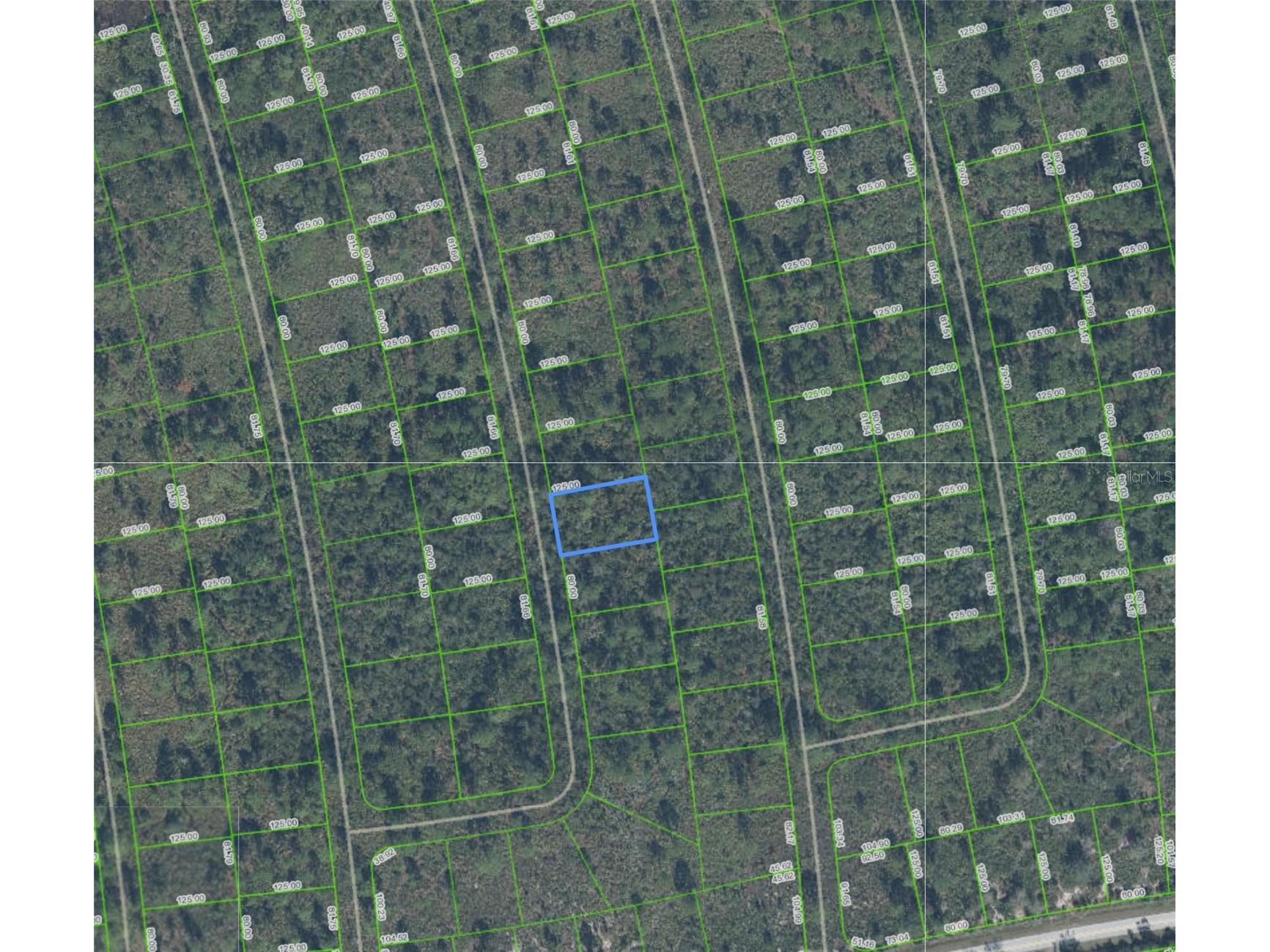 4336 San Pedro Drive Sebring FL 33872 P4938551 image1