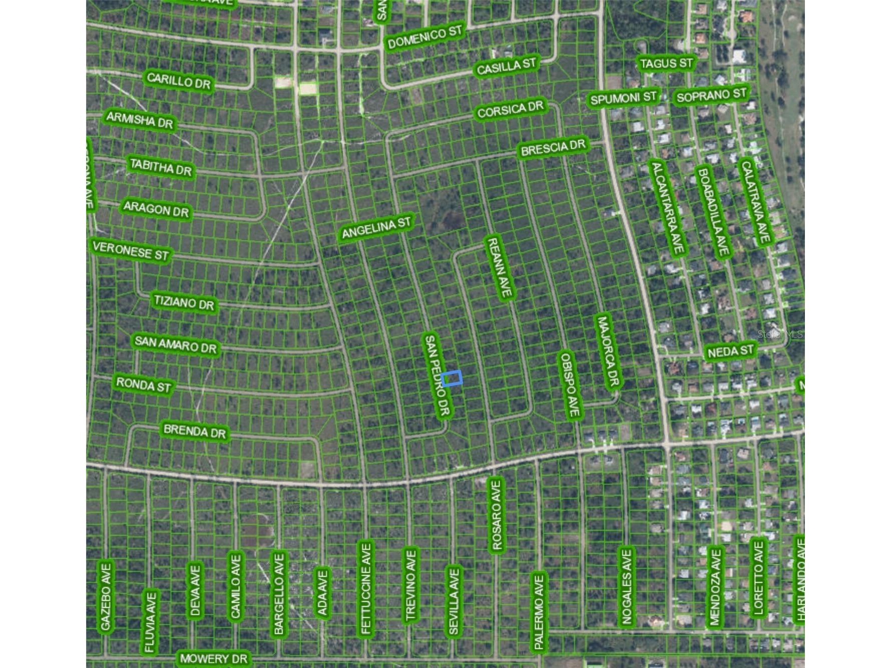 4336 San Pedro Drive Sebring FL 33872 P4938551 image2