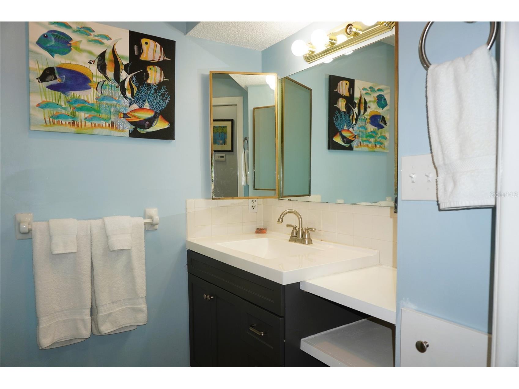 4337 Tahitian Gardens Circle #F Holiday FL 34691 TB8487865 image19