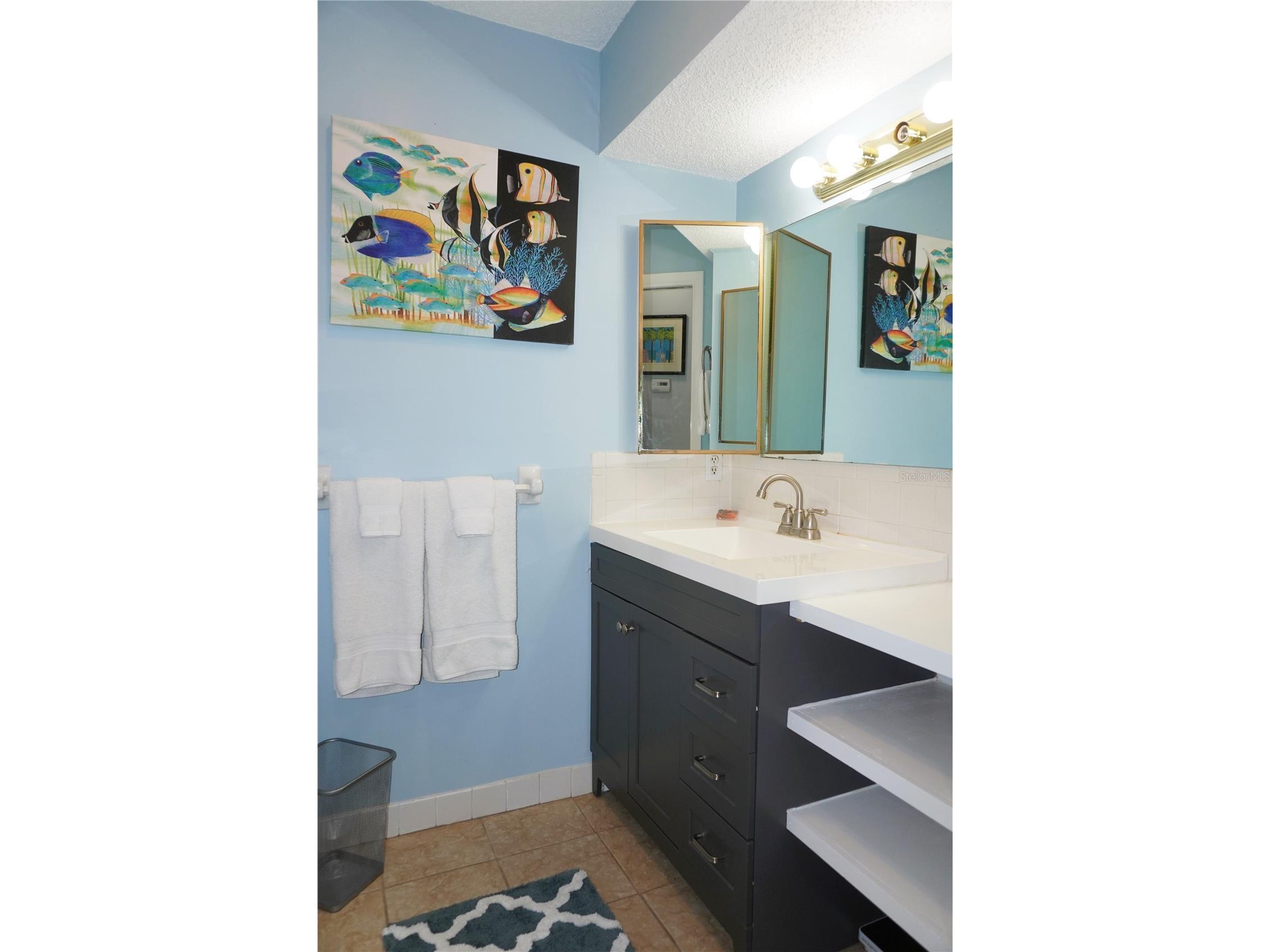 4337 Tahitian Gardens Circle #F Holiday FL 34691 TB8487865 image22