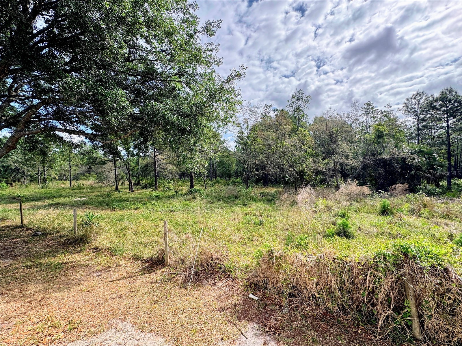 4339 Northern Dancer Way Orlando FL 32826 V4948603 image52