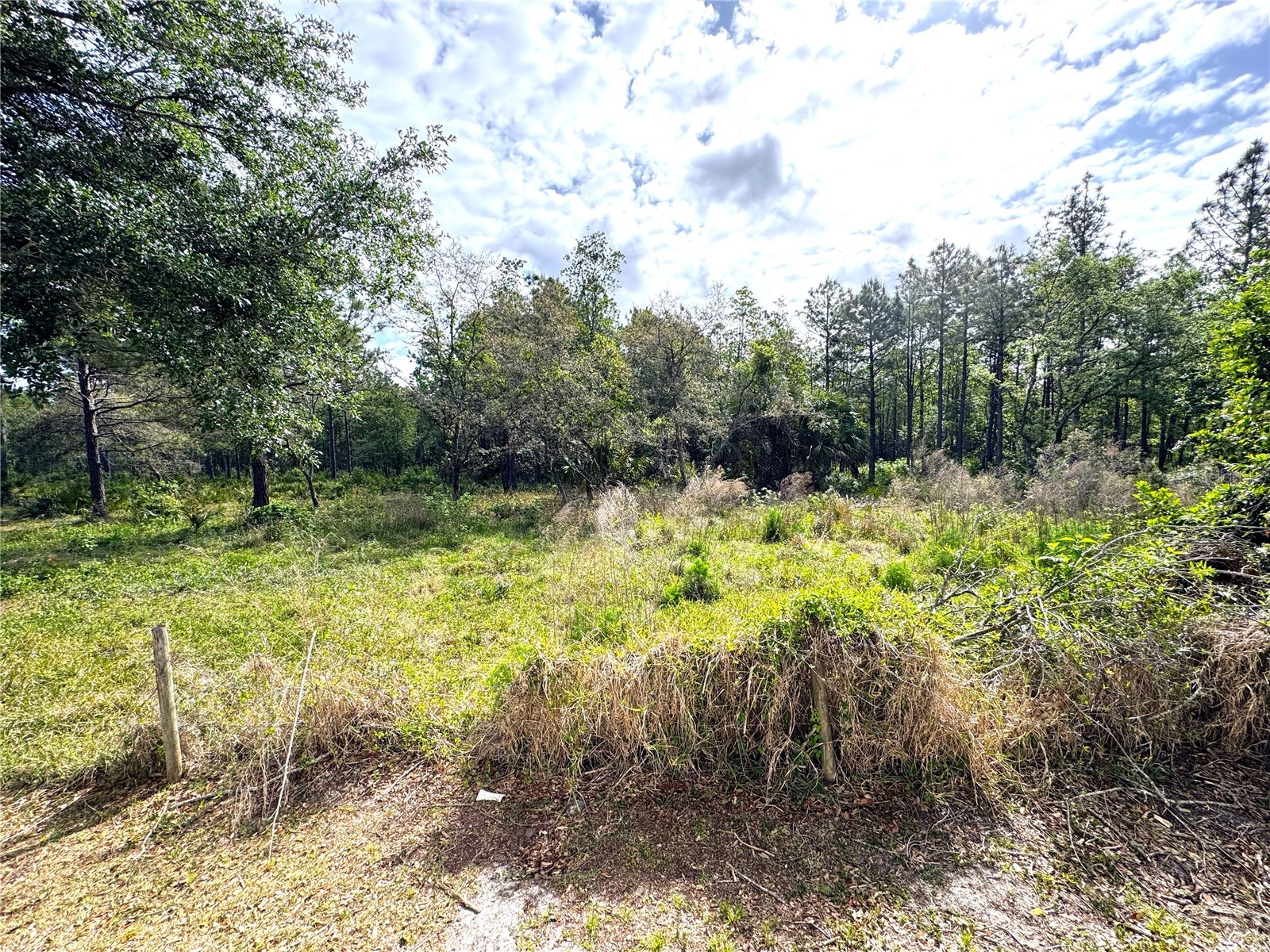 4339 Northern Dancer Way Orlando FL 32826 V4948603 image53