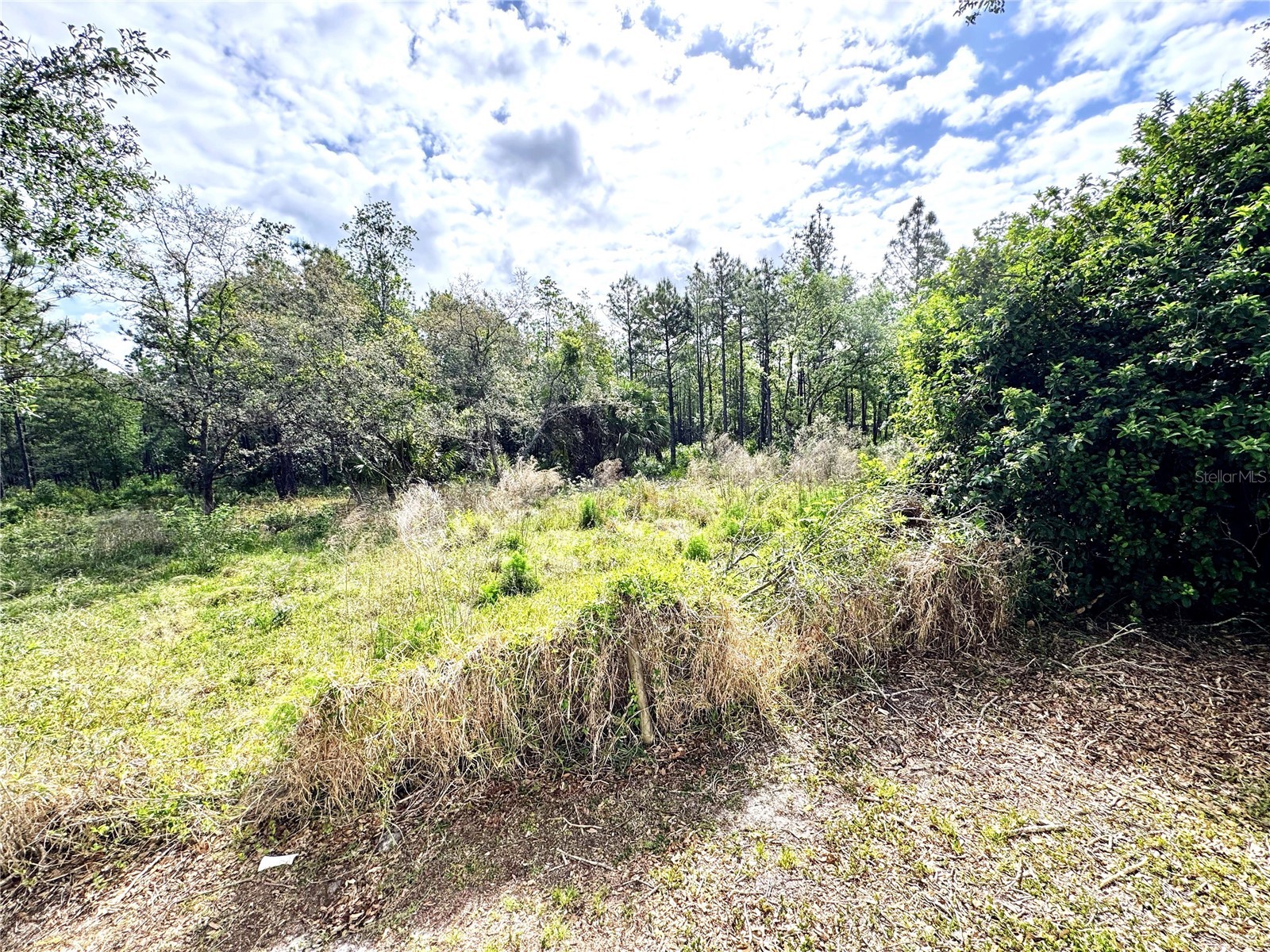 4339 Northern Dancer Way Orlando FL 32826 V4948603 image54