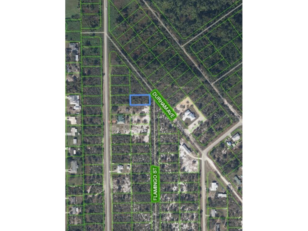 434 Flamingo Street Lake Placid FL 33852 O6232960 image1