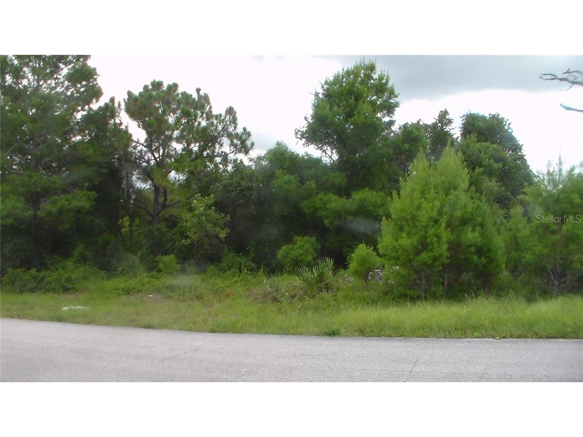 434 Foxdale Road Lake Placid FL 33852 S5047767 image1