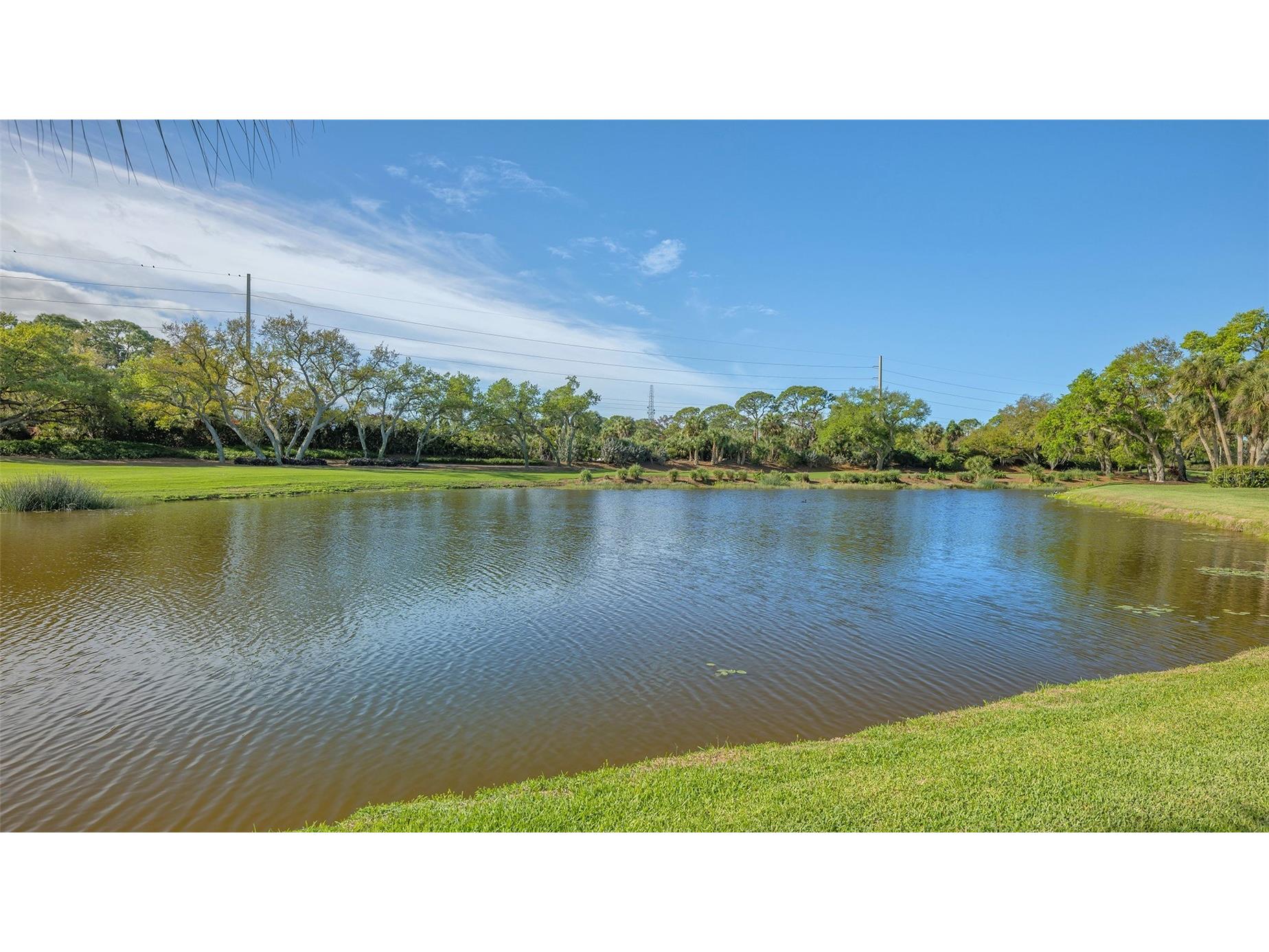 434 Macewen Drive Osprey FL 34229 A4687368 image45