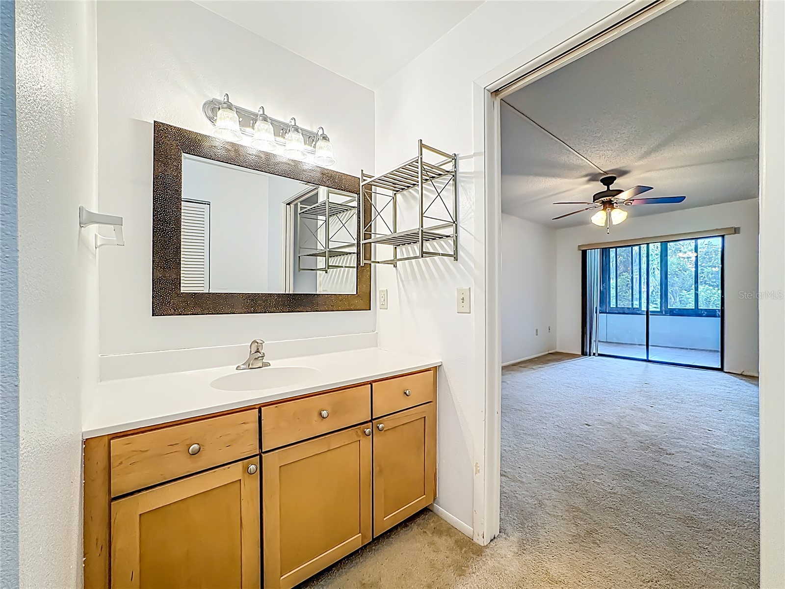 434 Palm Tree Drive #434 Bradenton FL 34210 TB8501602 image21