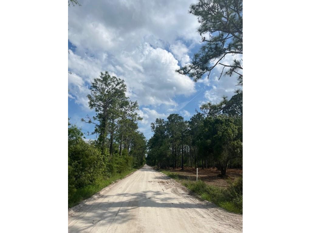 434 Ranchette Road New Smyrna Beach FL 32168 A4654165 image1