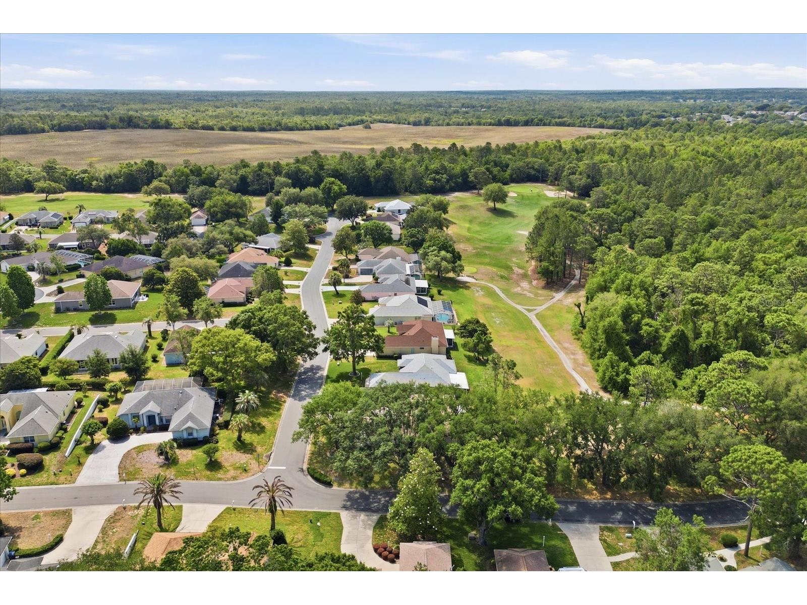 434 W Crestmont Court Beverly Hills FL 34465 TB8506989 image46