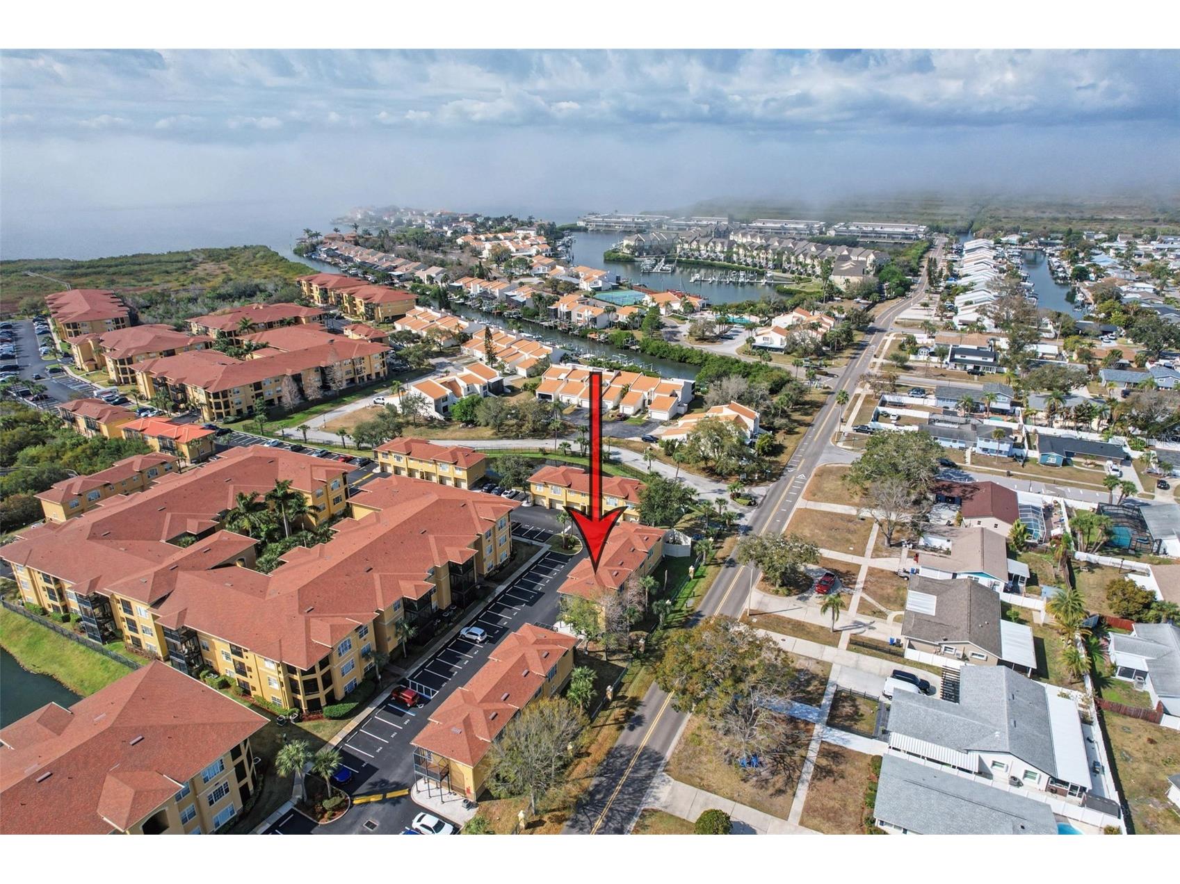 4340 Bayside Village Drive #201 Tampa FL 33615 TB8476956 image38