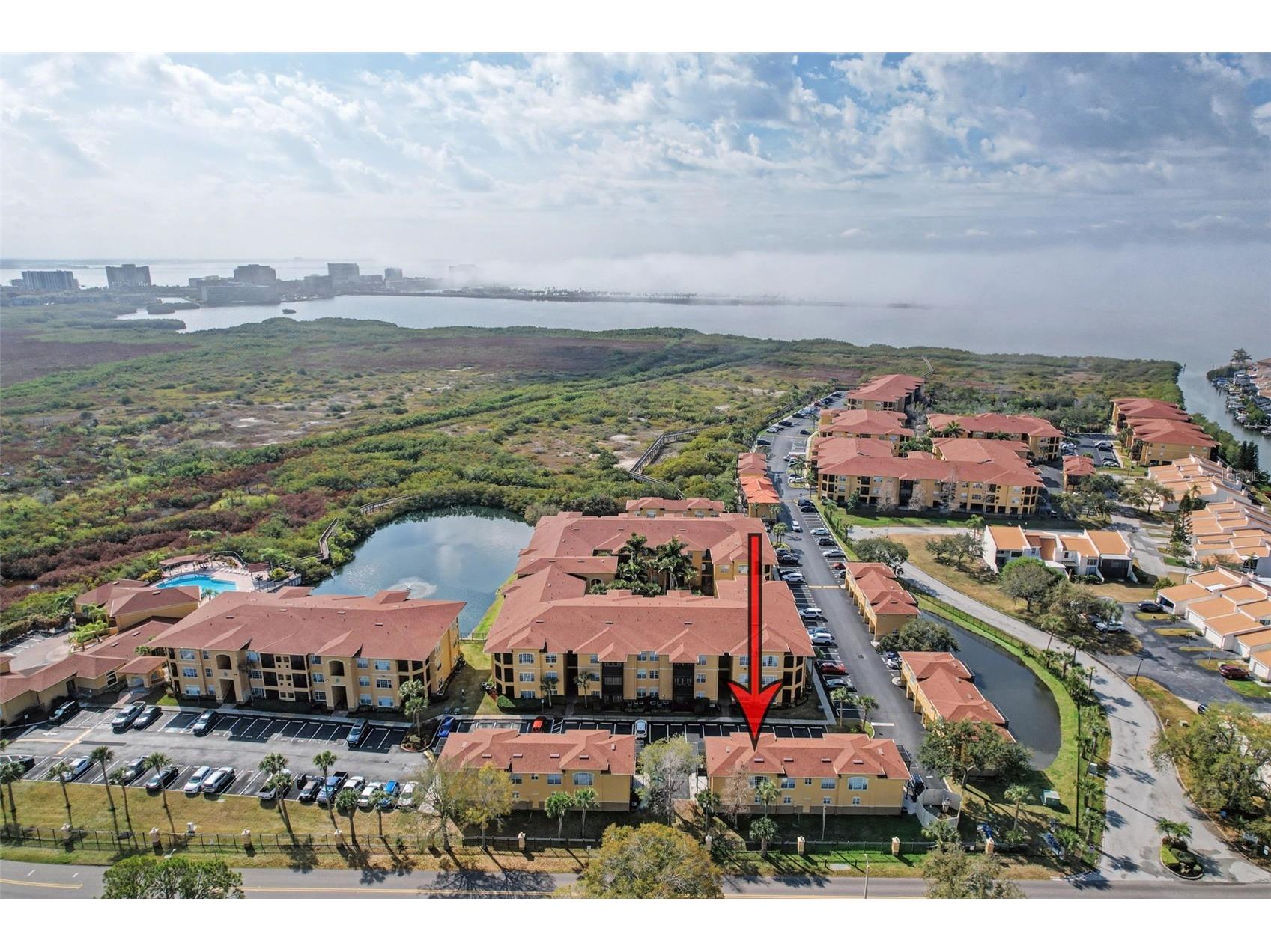 4340 Bayside Village Drive #201 Tampa FL 33615 TB8476956 image40