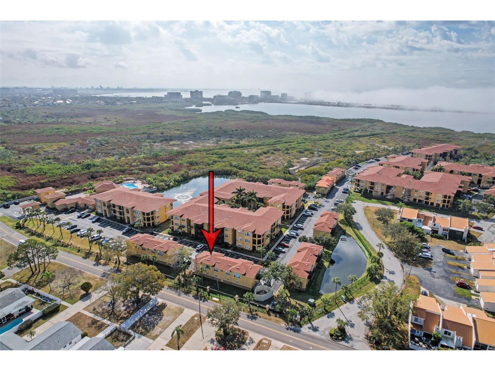 4340 Bayside Village Drive #201 Tampa FL 33615 TB8476956 image42