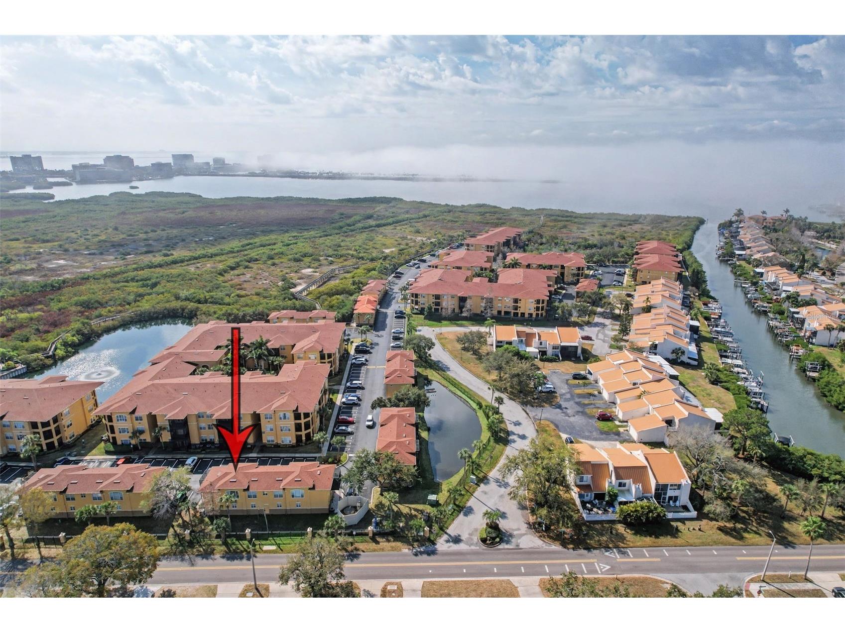 4340 Bayside Village Drive #201 Tampa FL 33615 TB8476956 image44