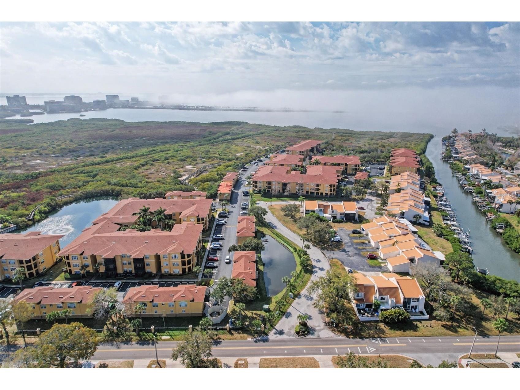 4340 Bayside Village Drive #201 Tampa FL 33615 TB8476956 image45