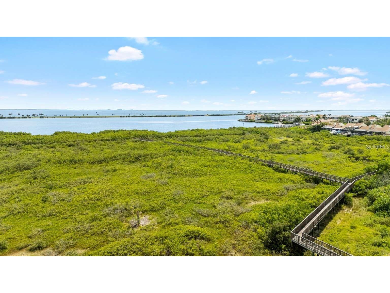 4340 Bayside Village Drive #201 Tampa FL 33615 TB8476956 image48