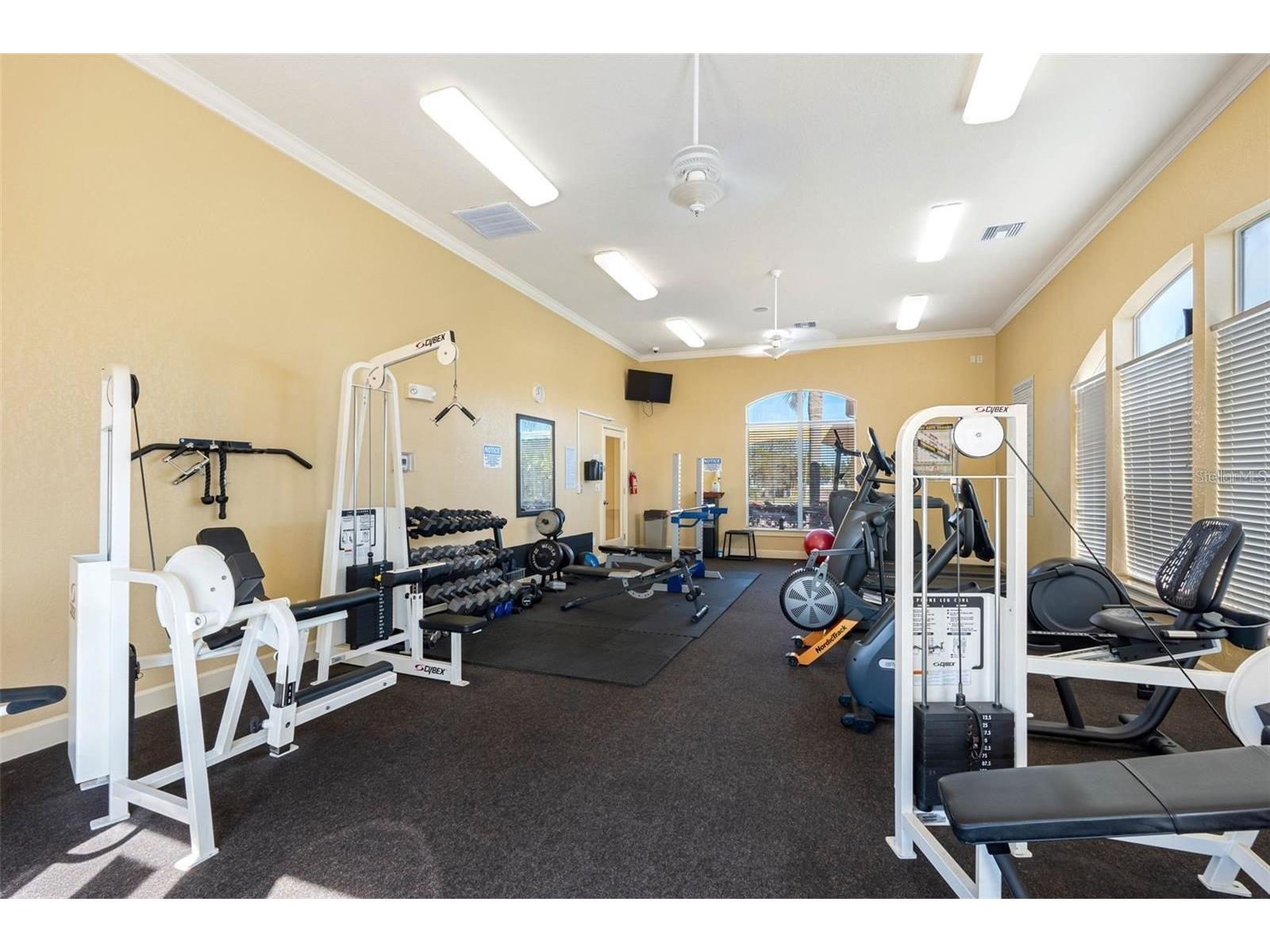 4340 Bayside Village Drive #201 Tampa FL 33615 TB8476956 image51