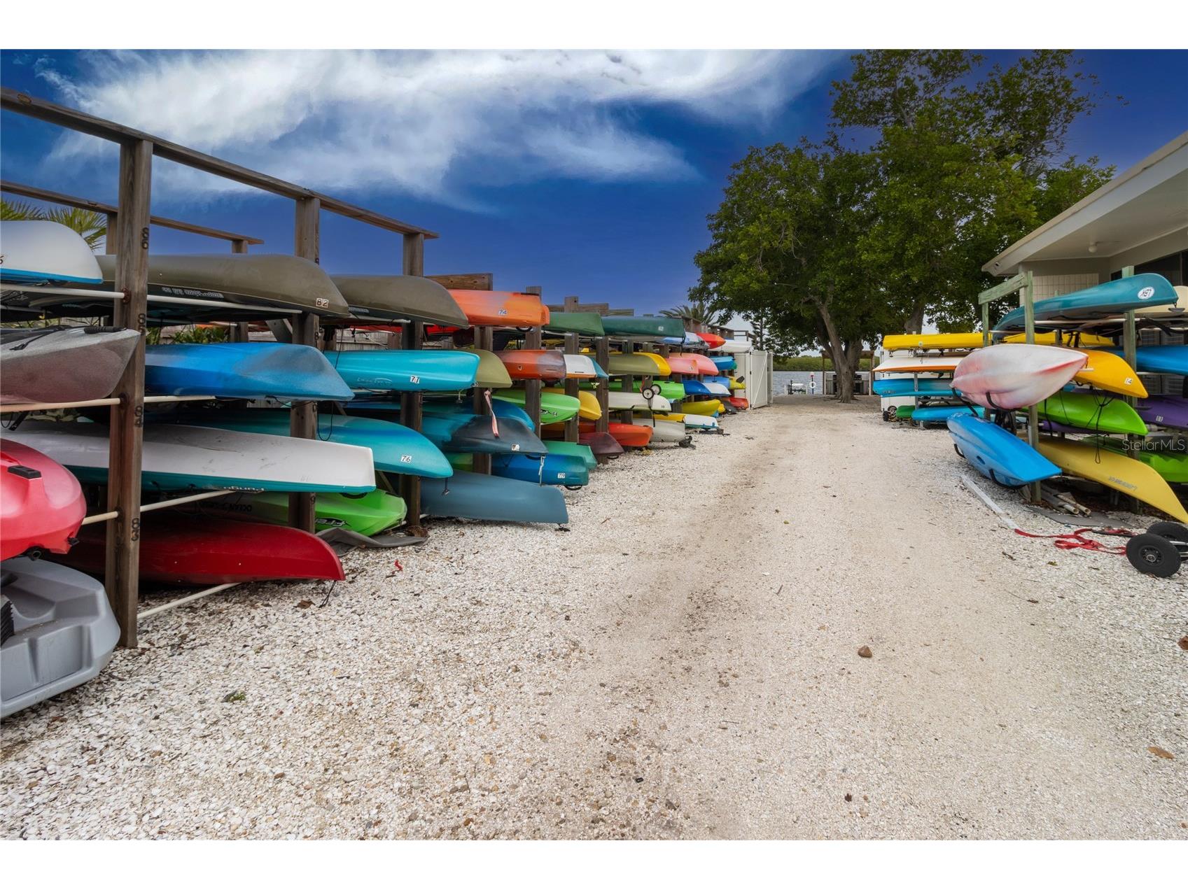 4340 Falmouth Drive #D-204 Longboat Key FL 34228 A4698081 image59