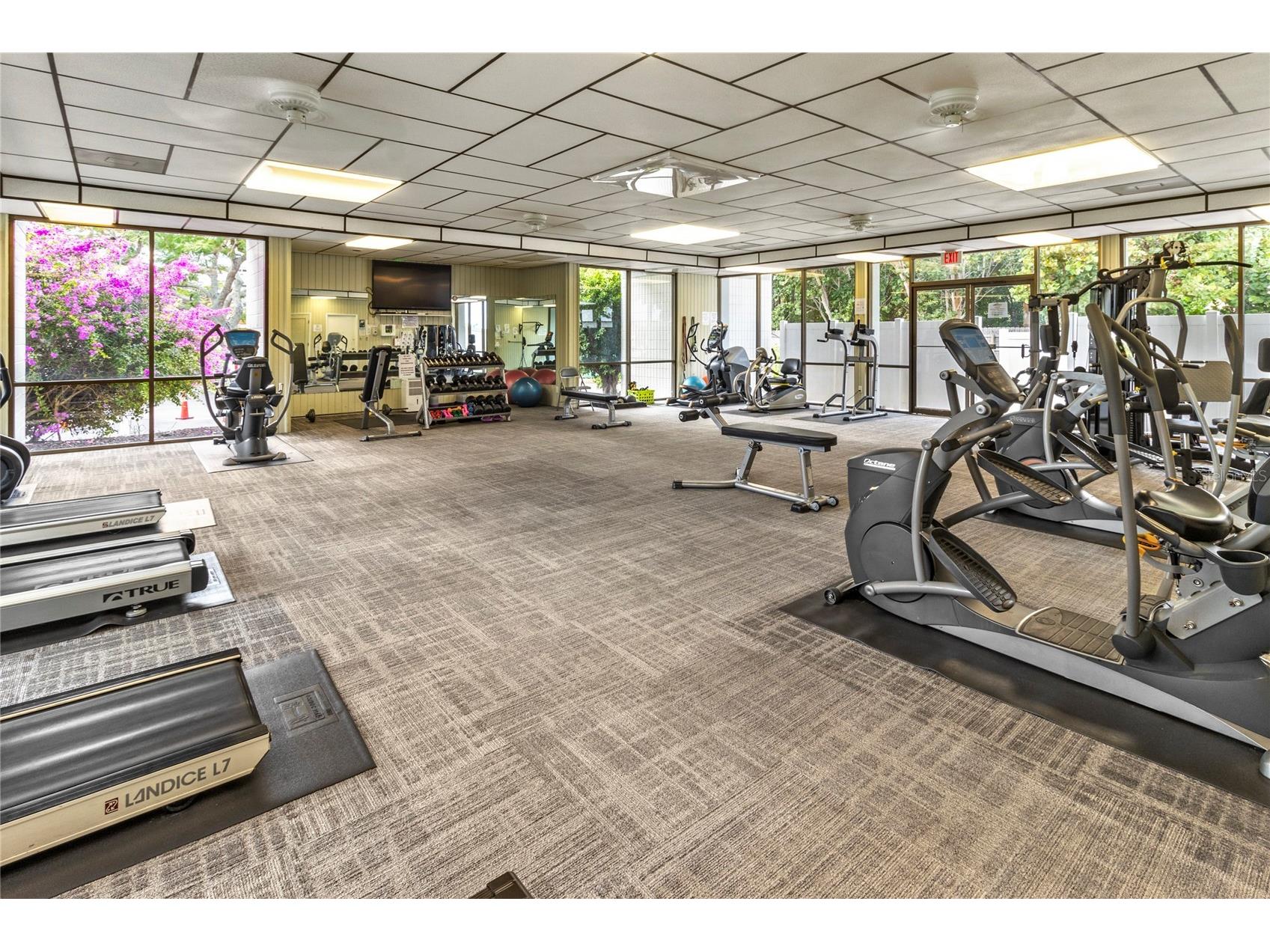 4340 Falmouth Drive #D-204 Longboat Key FL 34228 A4698081 image66