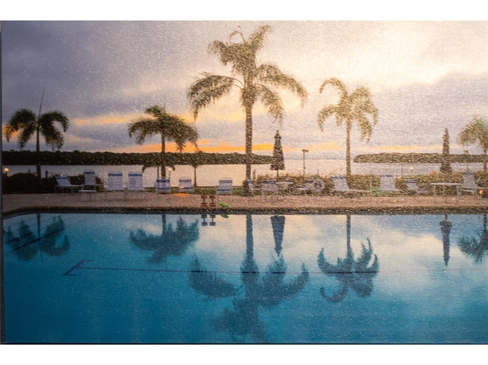 4340 Falmouth Drive #D-204 Longboat Key FL 34228 A4698081 image74