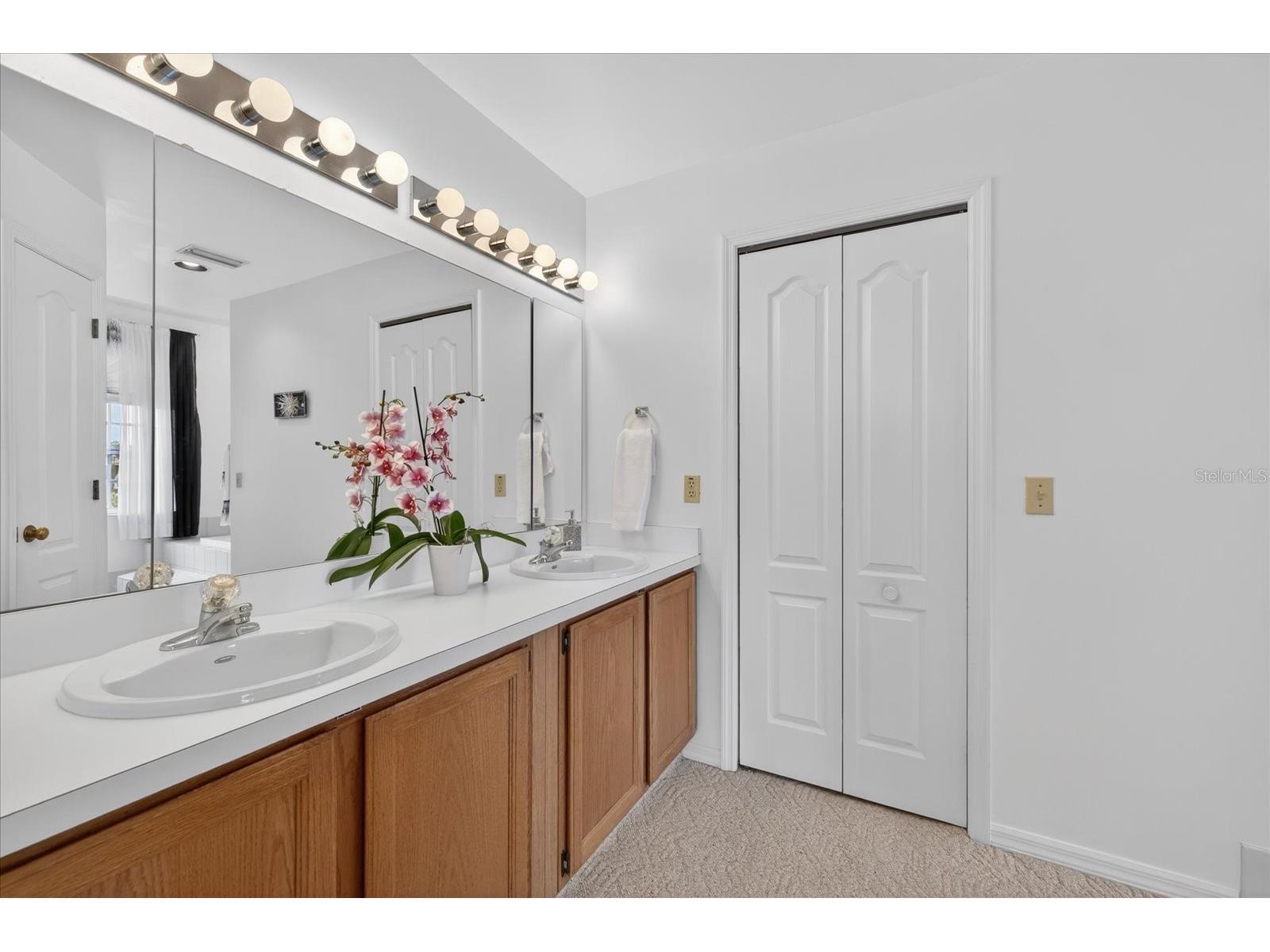 4340 Seagull Drive New Port Richey FL 34652 W7884869 image35