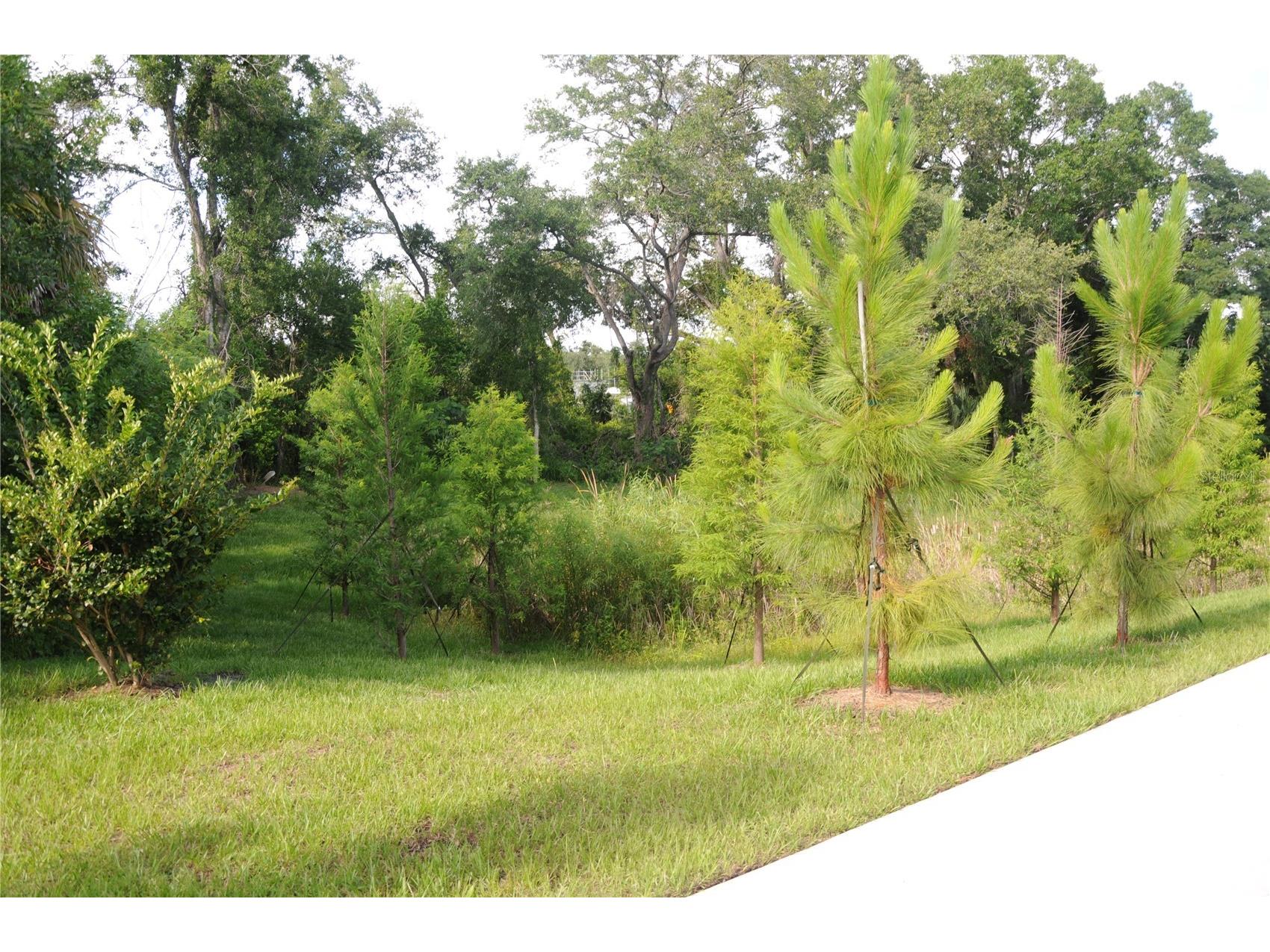 4341 Cambio Gardens Court Tampa FL 33610 TB8518911 image30