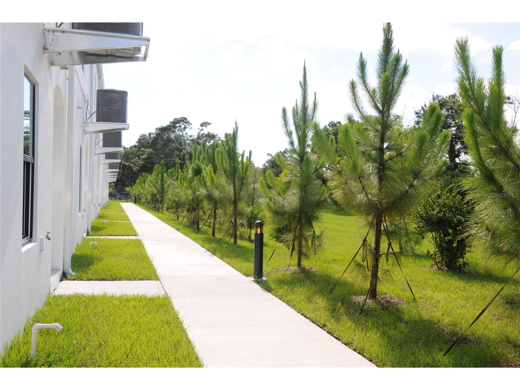 4341 Cambio Gardens Court Tampa FL 33610 TB8518911 image31