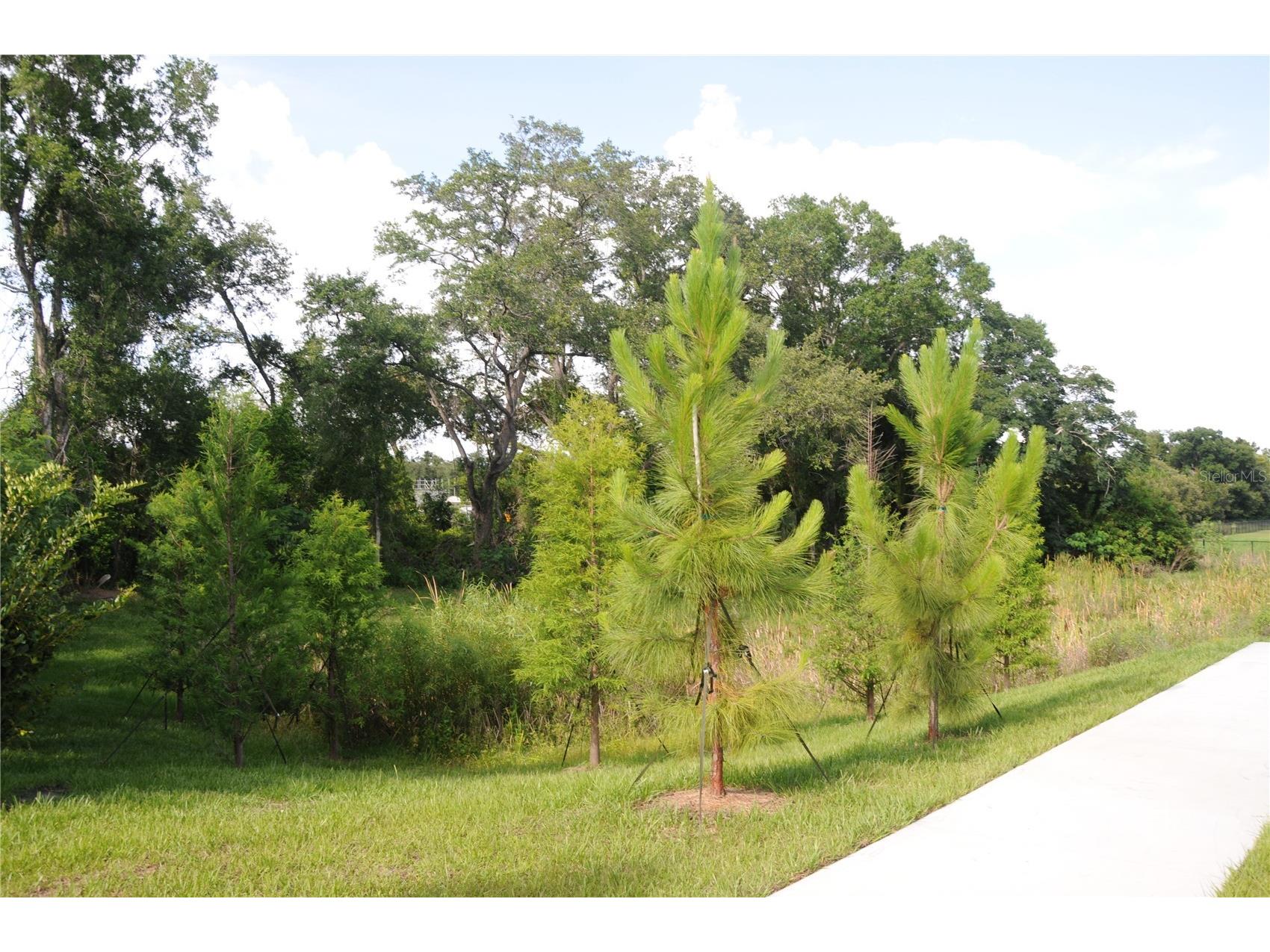 4341 Cambio Gardens Court Tampa FL 33610 TB8518911 image32