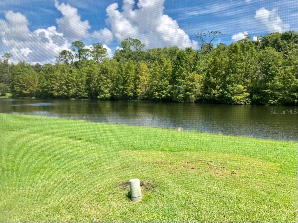 4341 Creekside Boulevard Kissimmee FL 34746 O6401786 image5