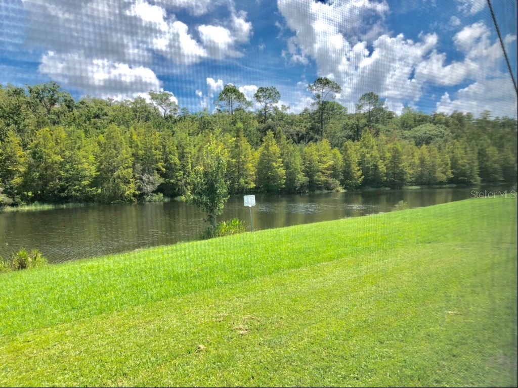 4341 Creekside Boulevard Kissimmee FL 34746 O6401786 image6