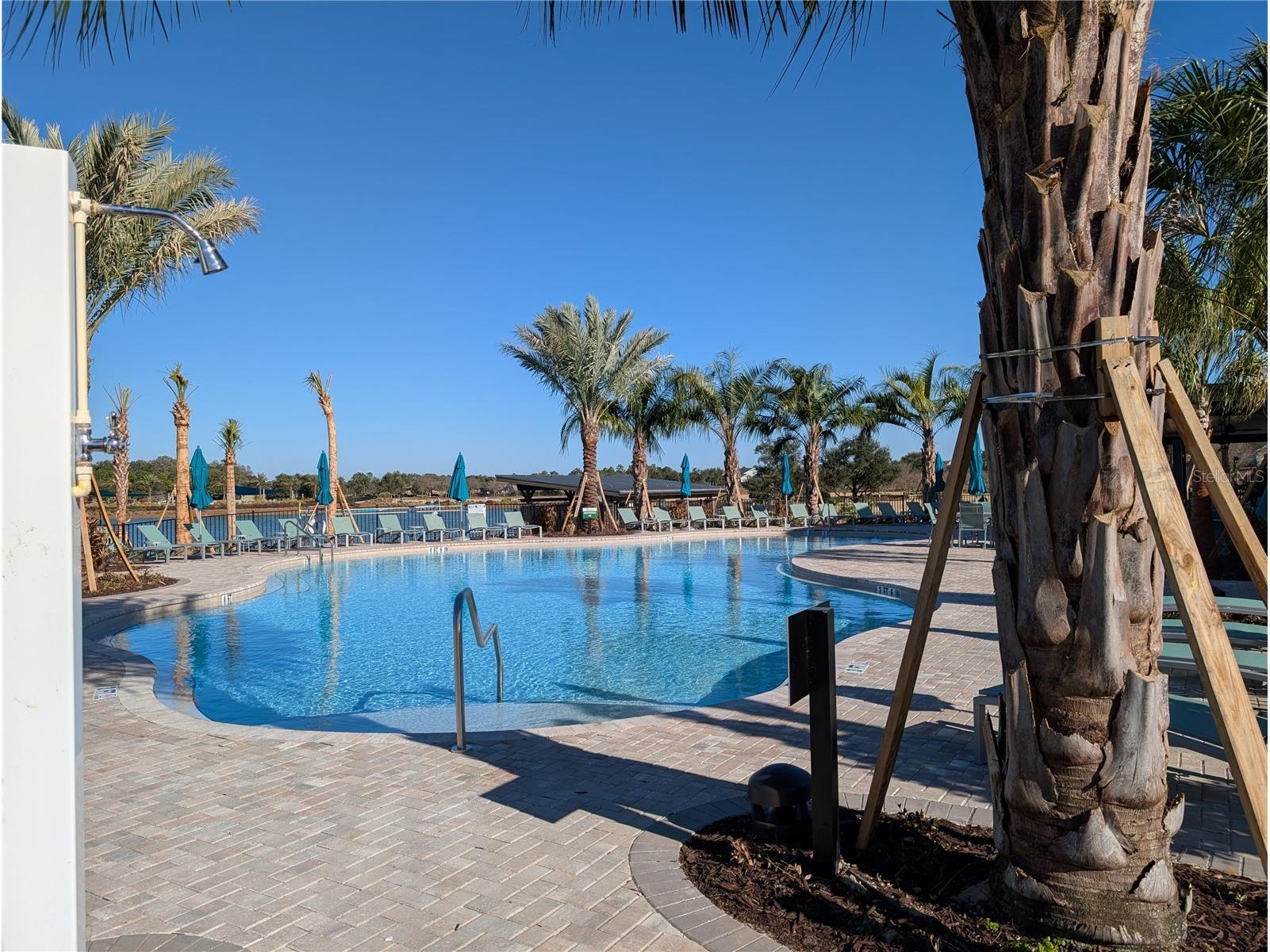 4341 NW 57th Avenue Ocala FL 34482 OM718144 image38