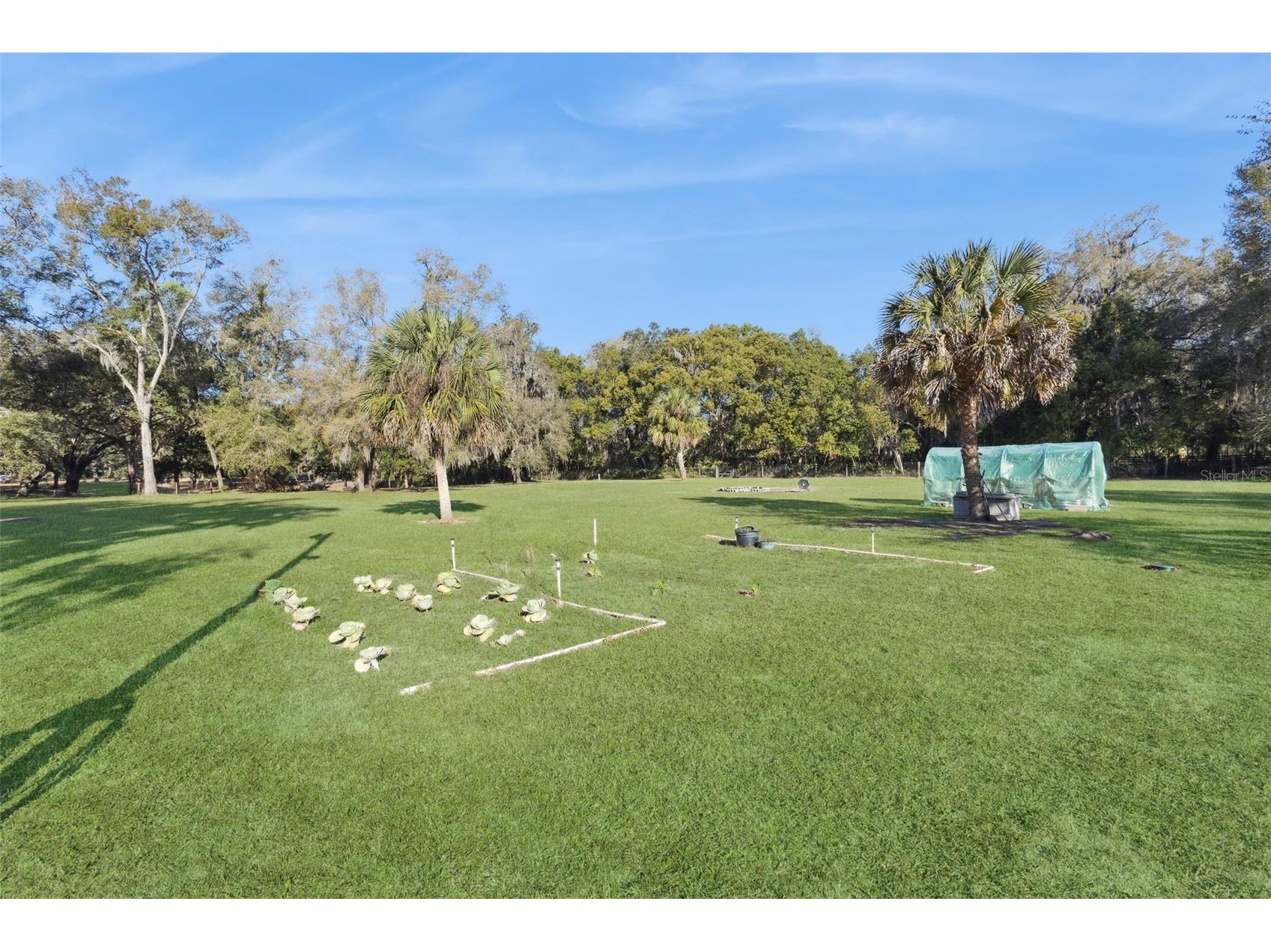 43411 State Road 19 Altoona FL 32702 G5108665 image38