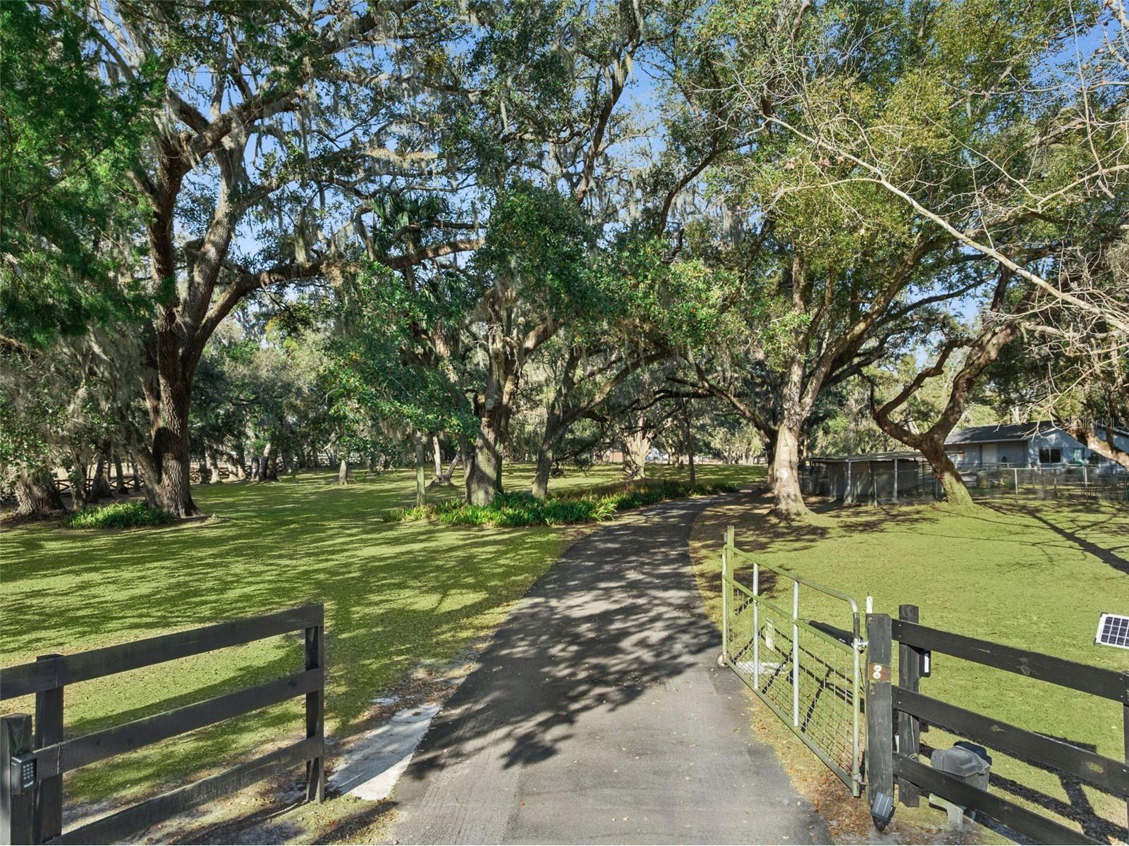 43411 State Road 19 Altoona FL 32702 G5108665 image41