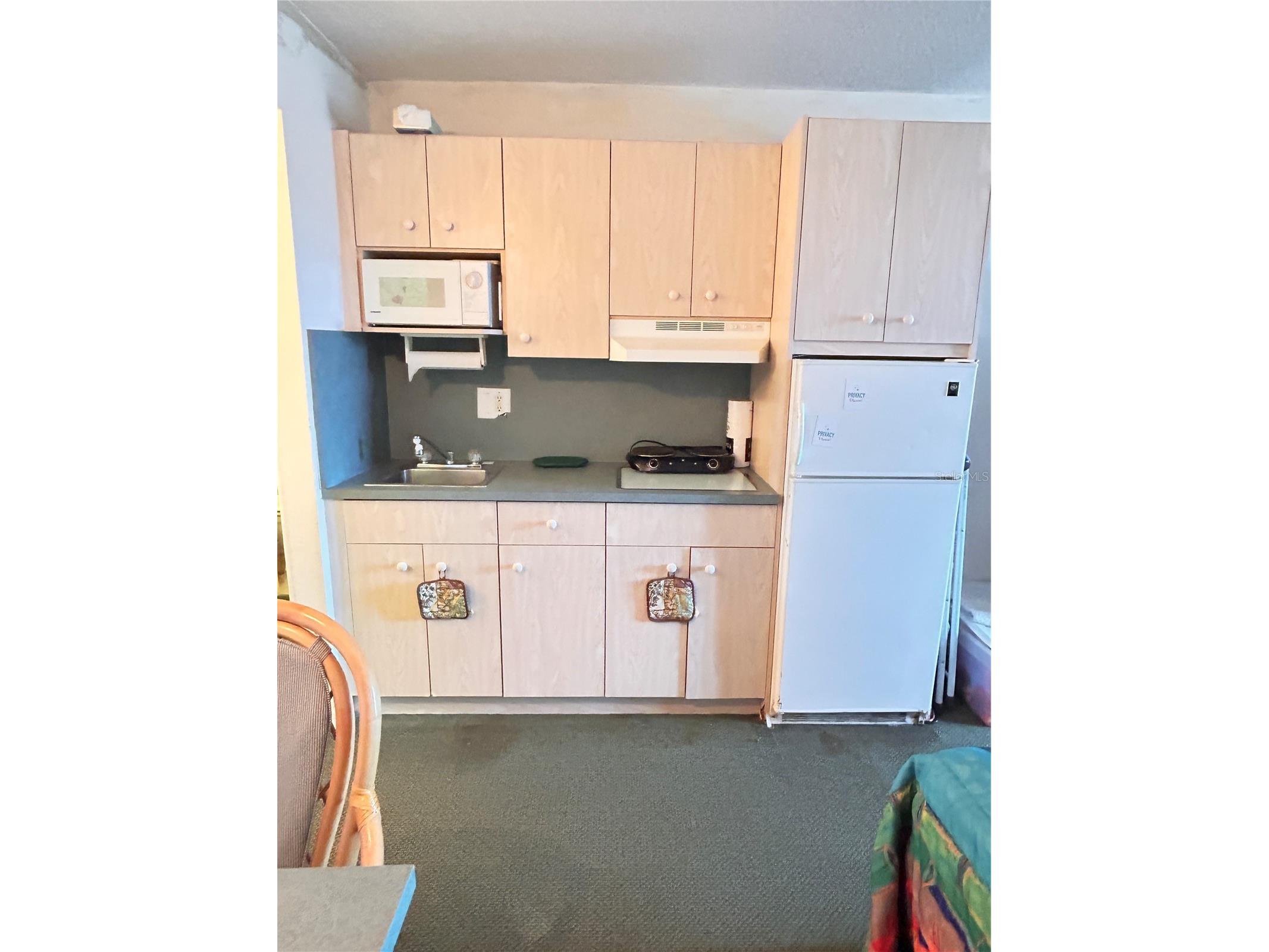 43420 Highway 27 #455 Davenport FL 33837 S5152946 image3