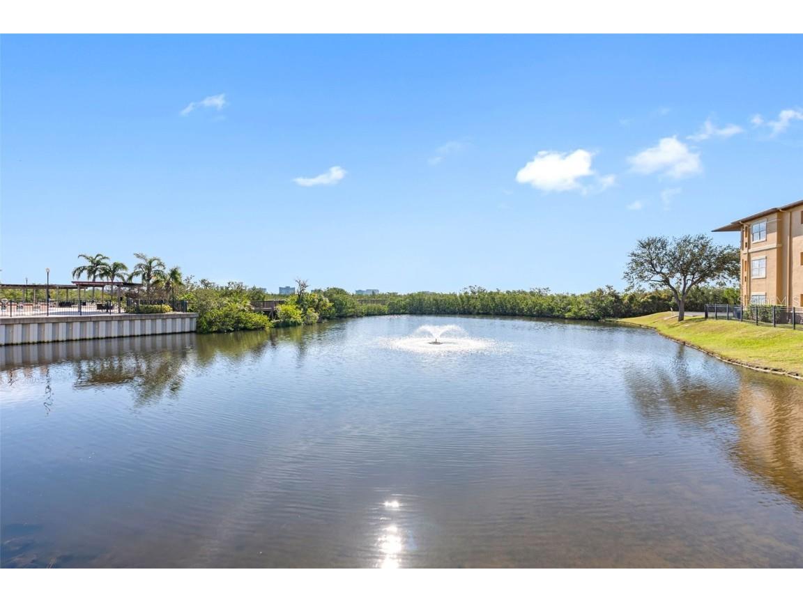 4343 Bayside Village Drive #104 Tampa FL 33615 TB8435184 image31