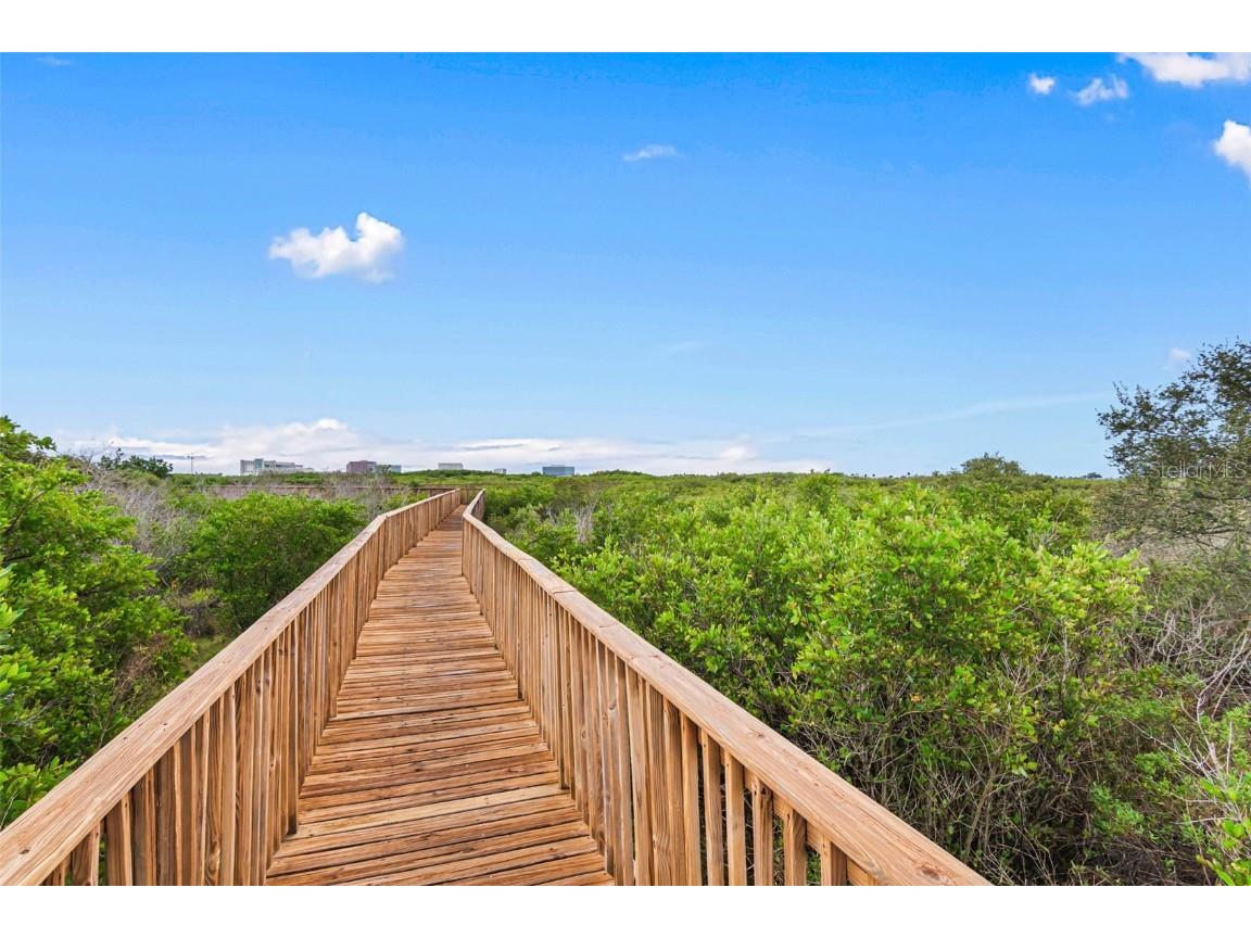 4343 Bayside Village Drive #104 Tampa FL 33615 TB8435184 image56