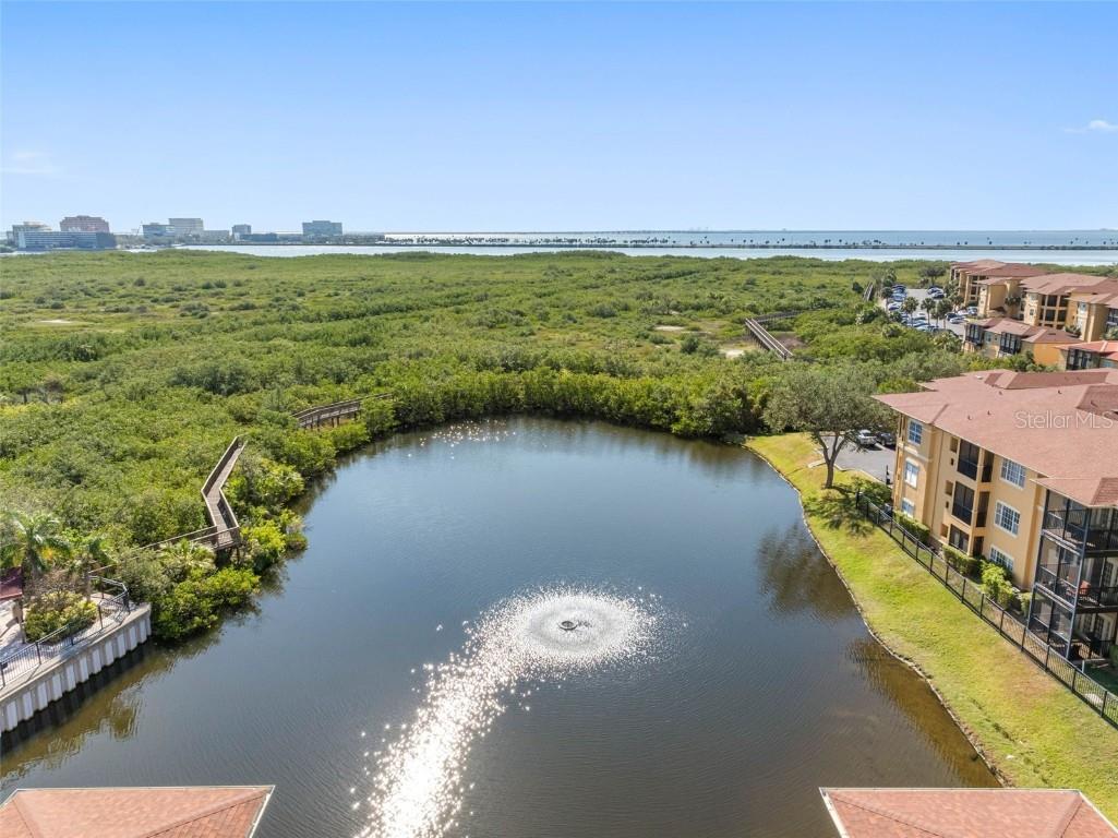 4343 Bayside Village Drive #104 Tampa FL 33615 TB8435184 image57