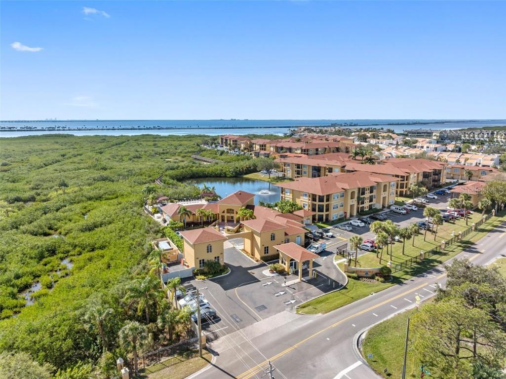 4343 Bayside Village Drive #104 Tampa FL 33615 TB8435184 image61